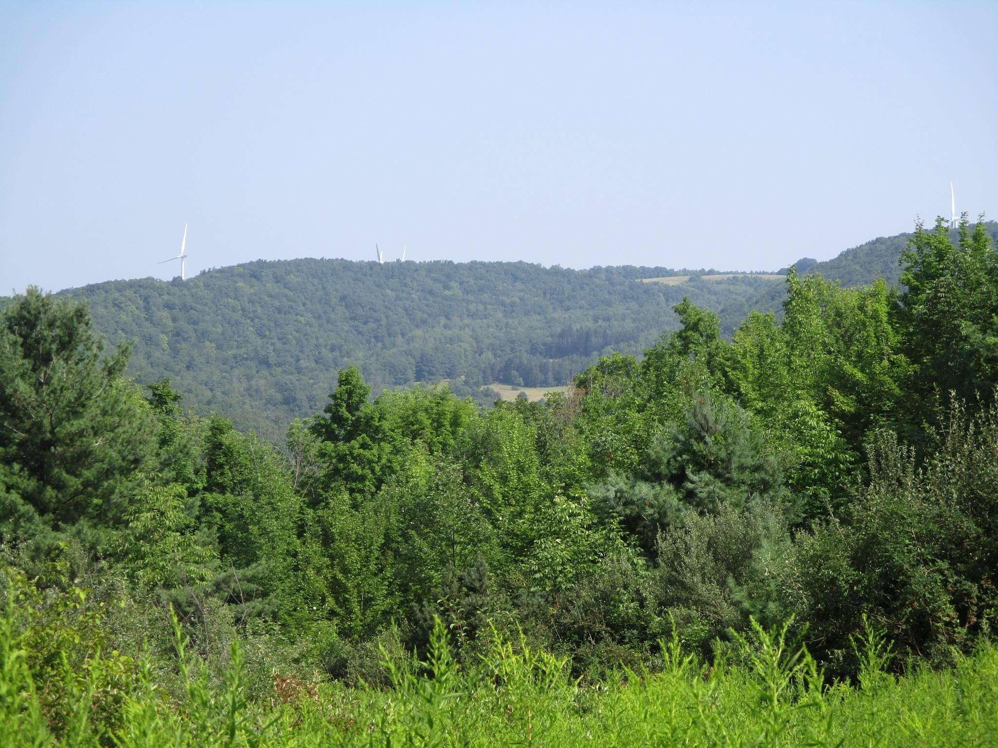 102.09 acres in Steuben County, New York
