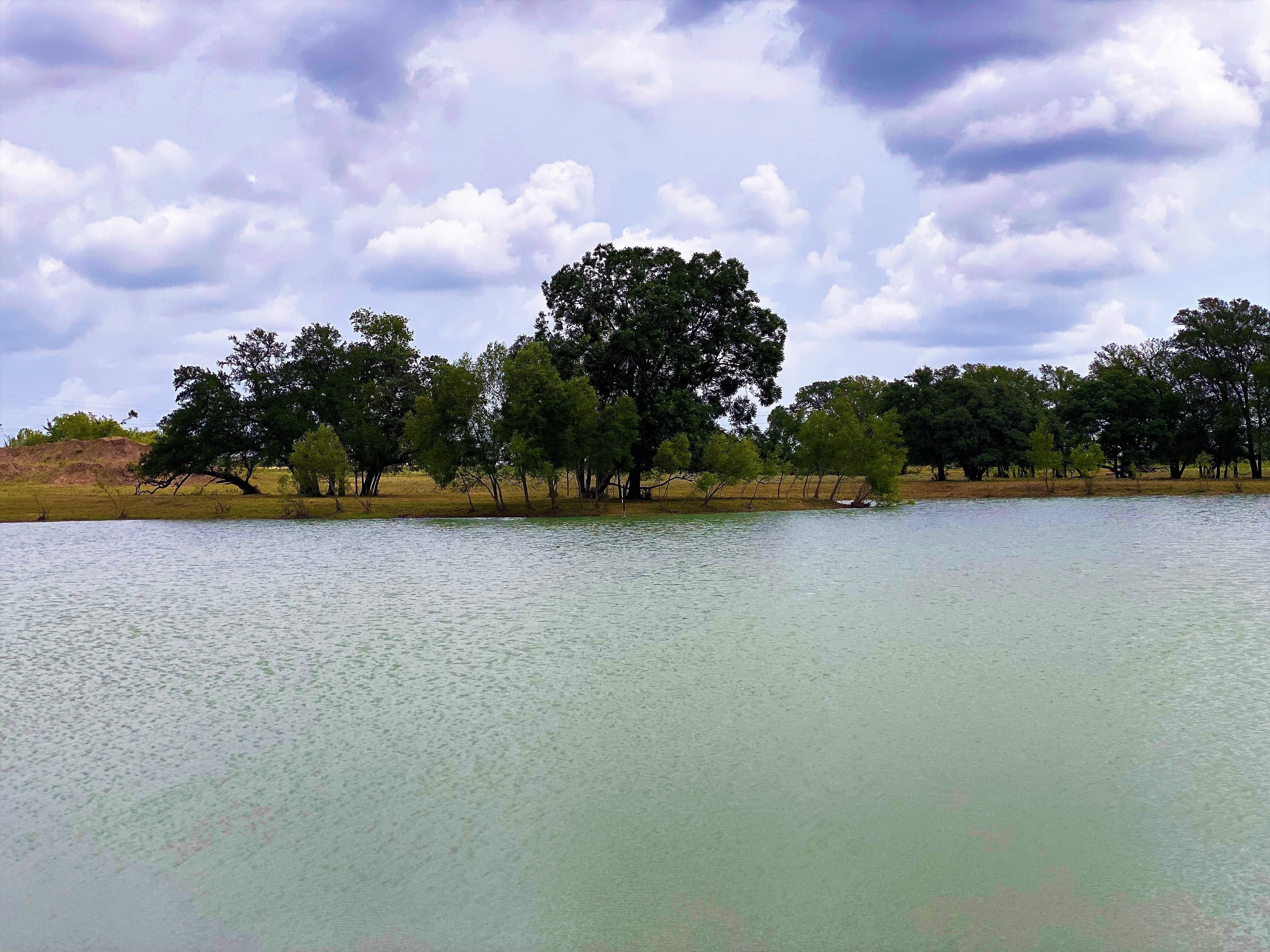 43.5 acres in Burleson County, Texas