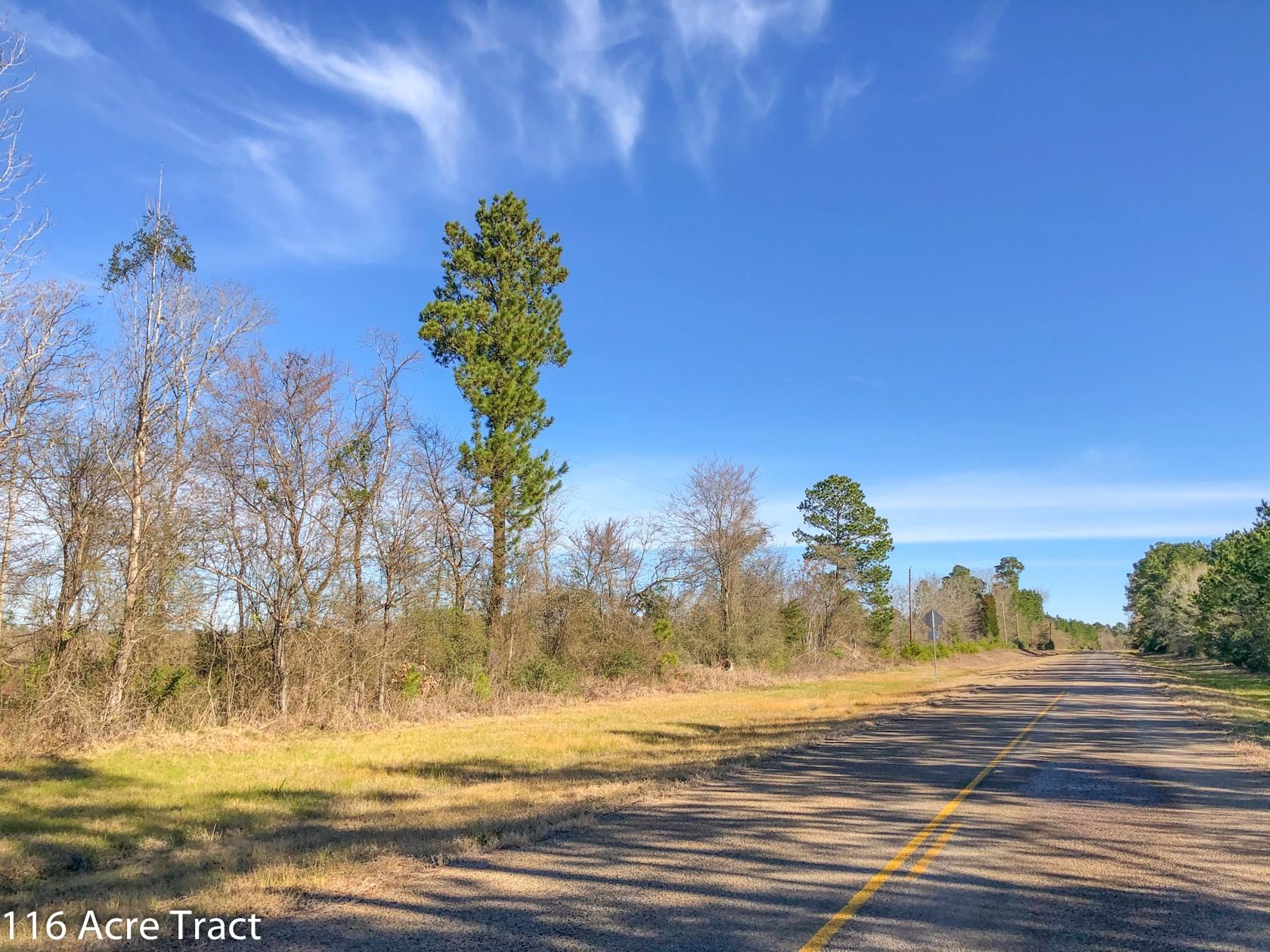 31 acres in Trinity County, Texas