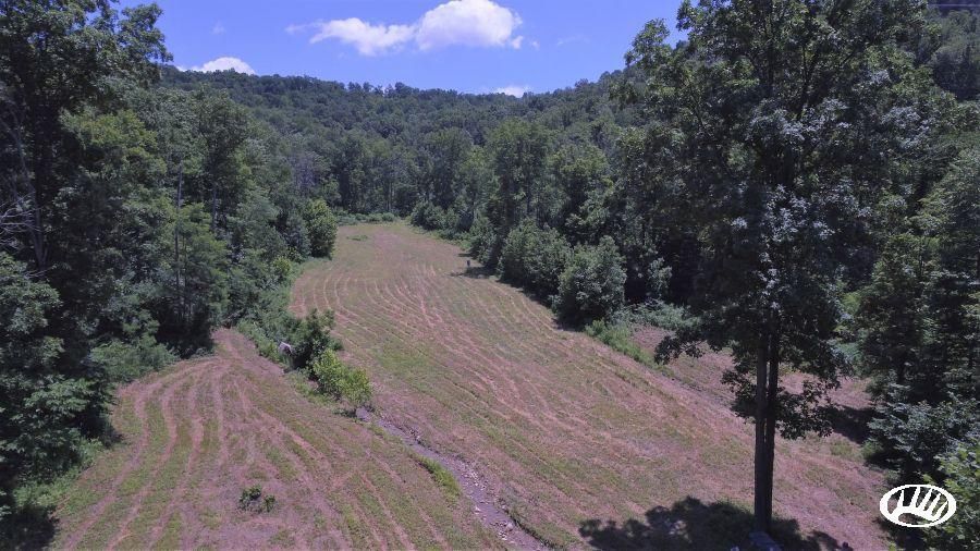 100 acres in Fleming County, Kentucky