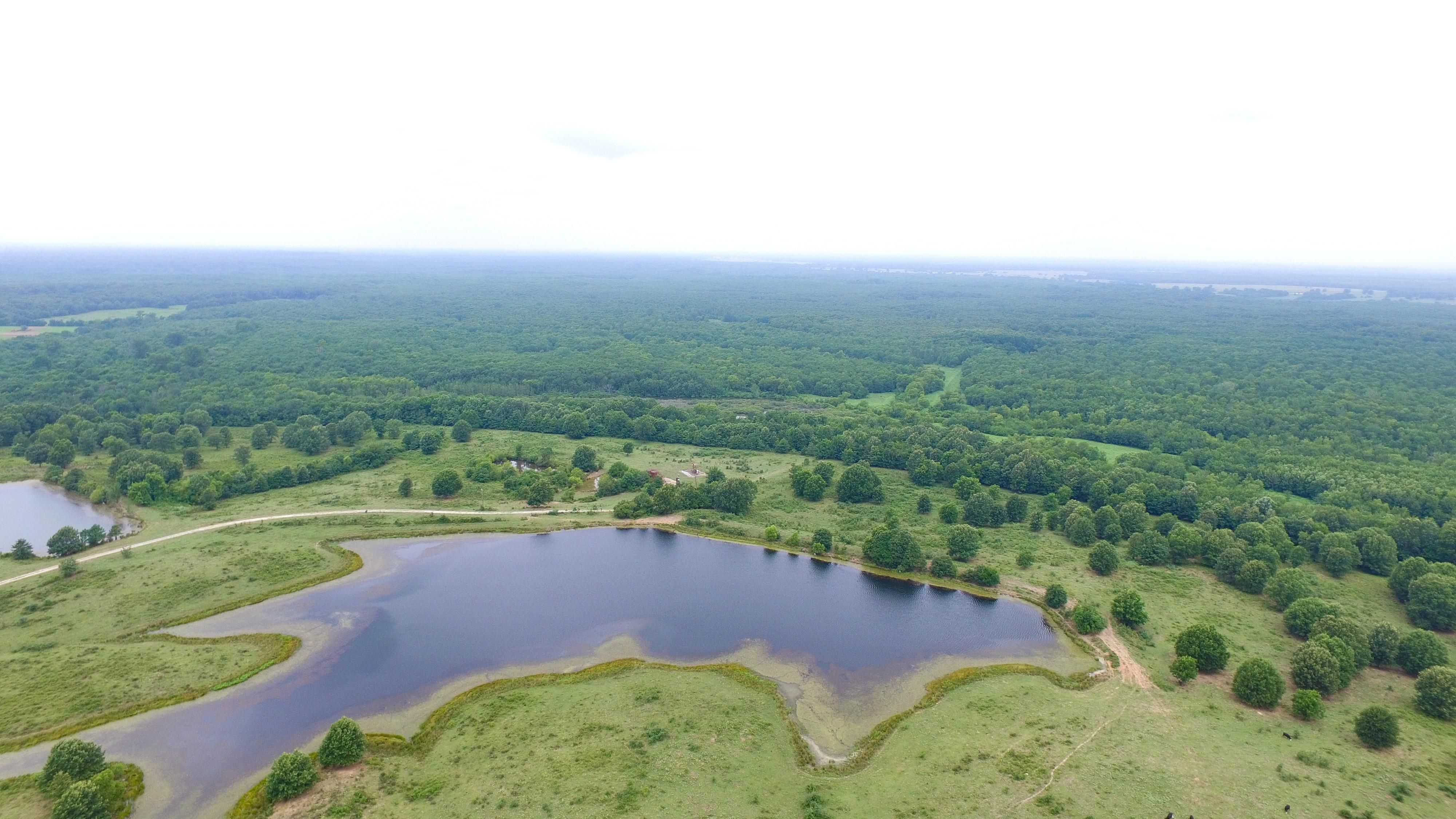 1,275 acres in Titus County, Texas