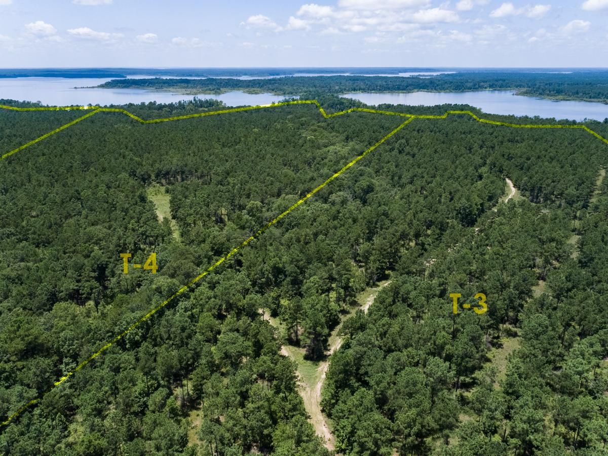 90 acres in San Augustine County, Texas