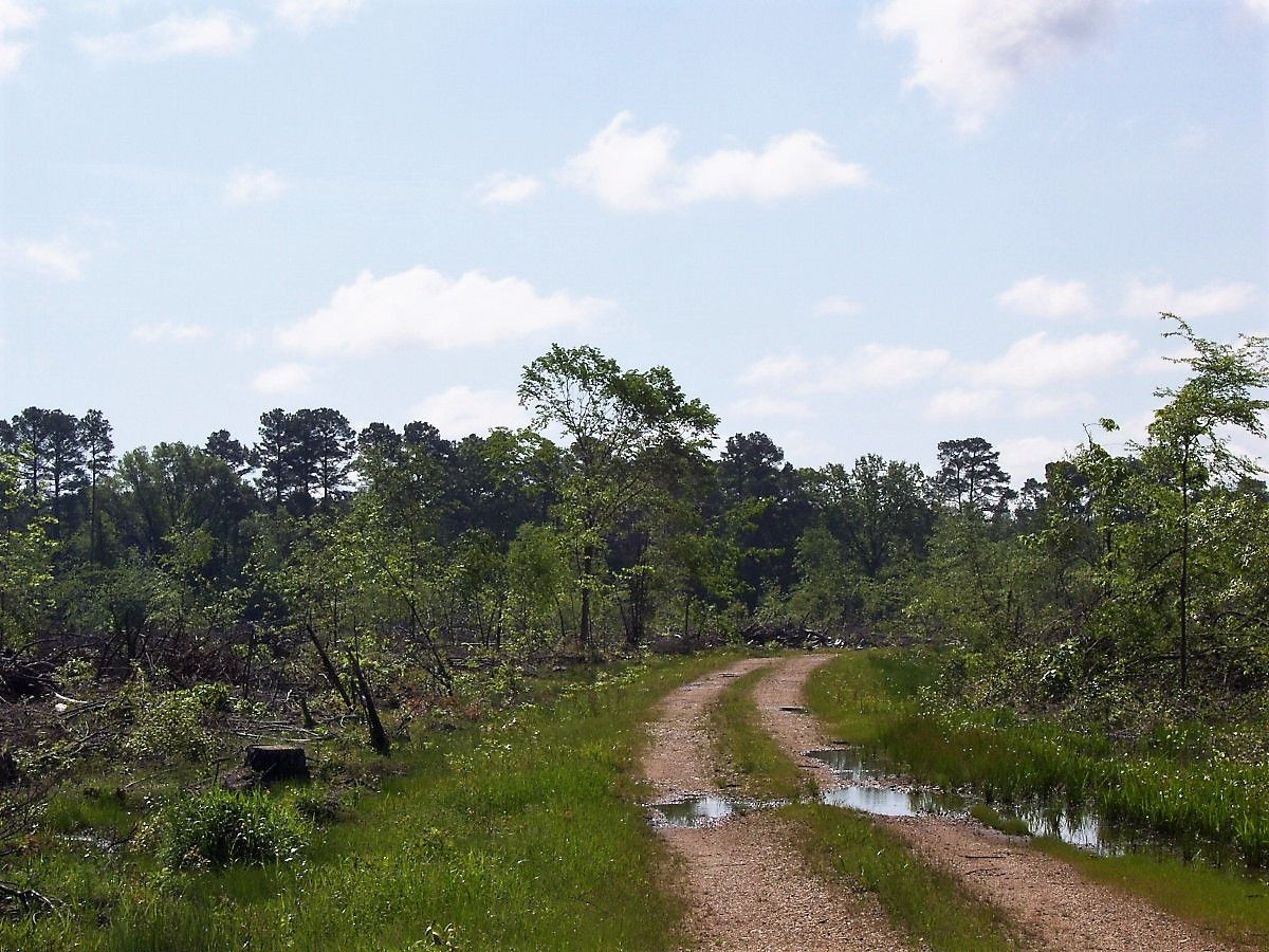 10 acres in Little River County, Arkansas