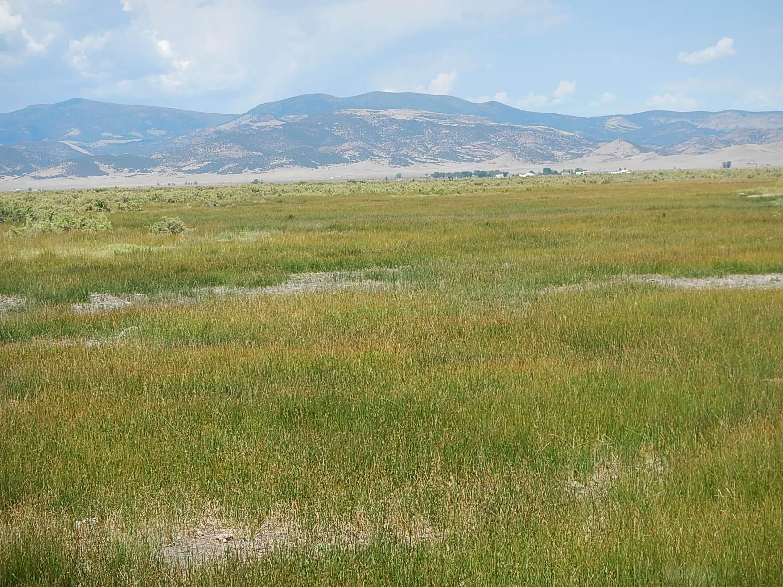 1,400 acres in Saguache County, Colorado
