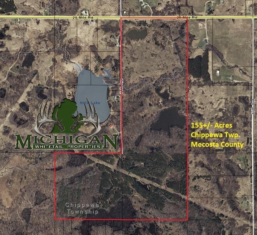 155 acres in Mecosta County, Michigan