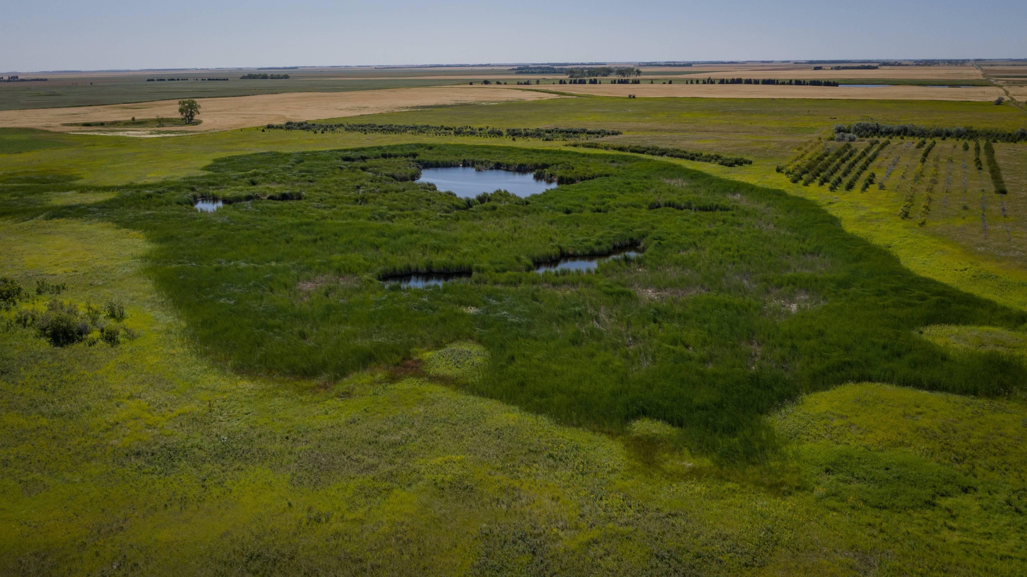 80 acres in Bottineau County, North Dakota