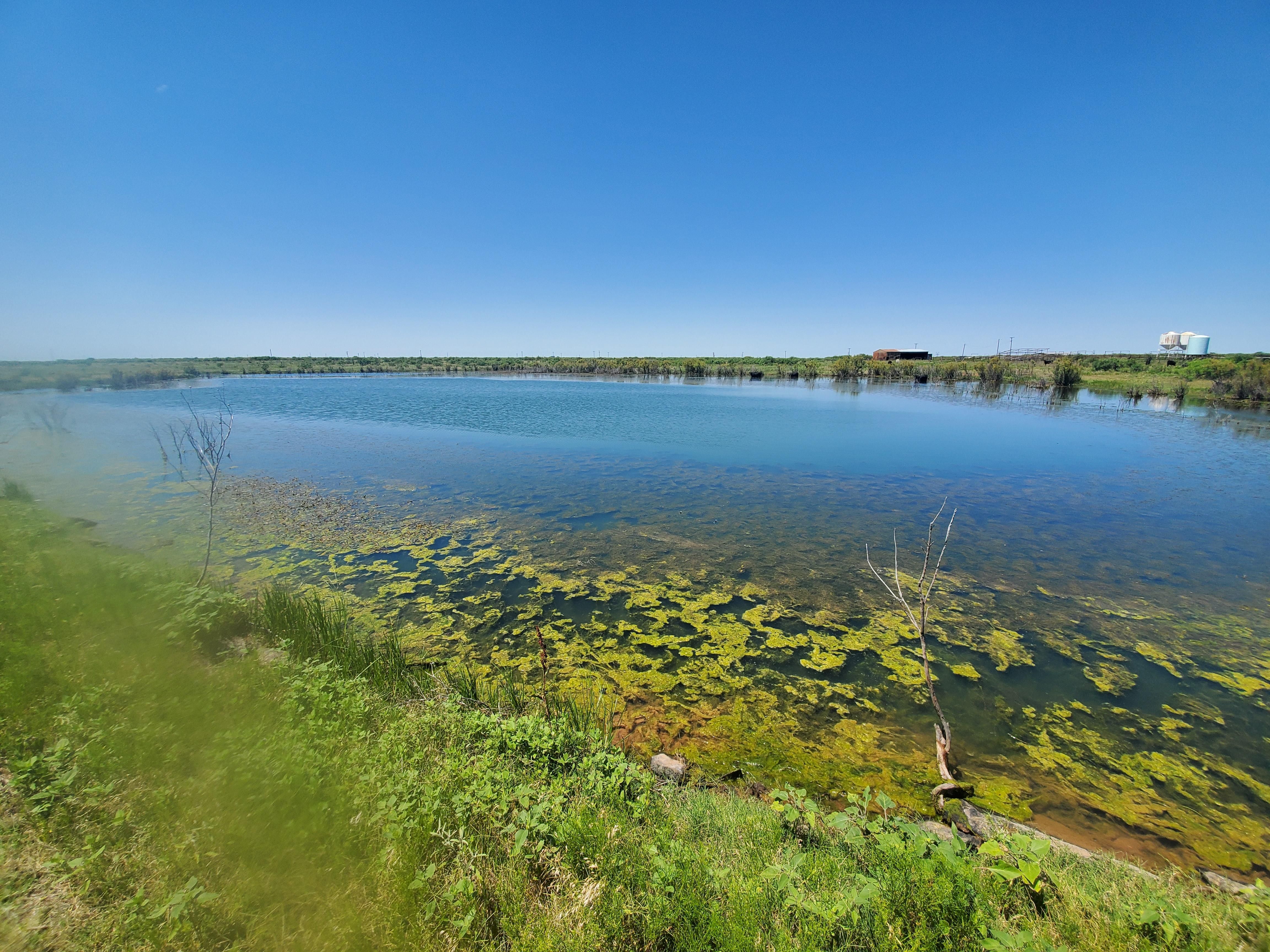 602 acres in Wichita County, Texas