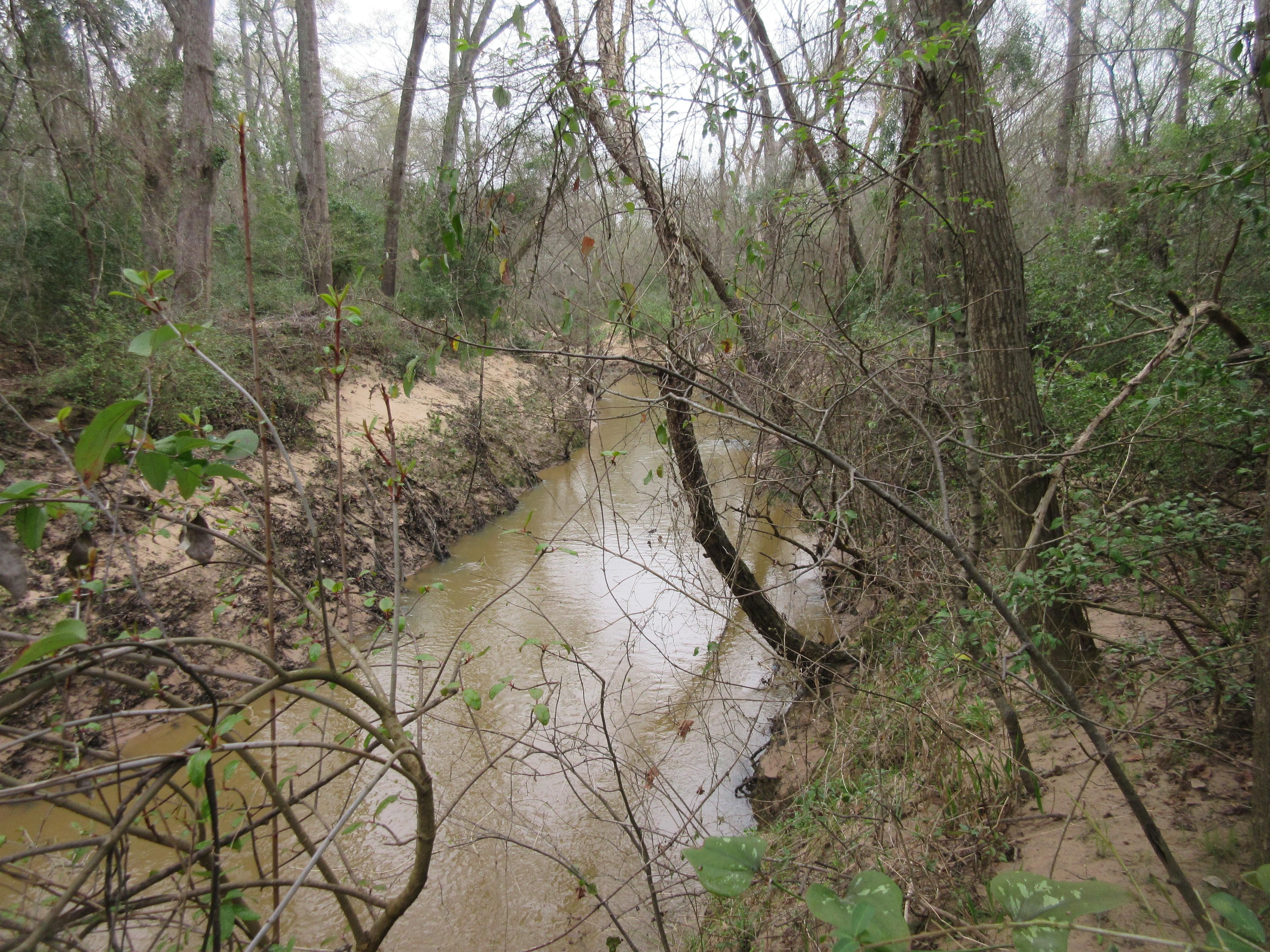 39.45 acres in Anderson County, Texas