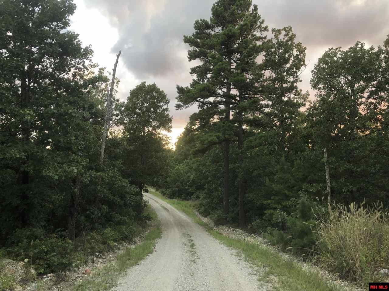60 acres in Marion County, Arkansas