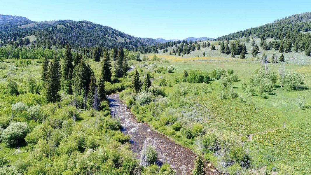 146 acres in Custer County, Idaho