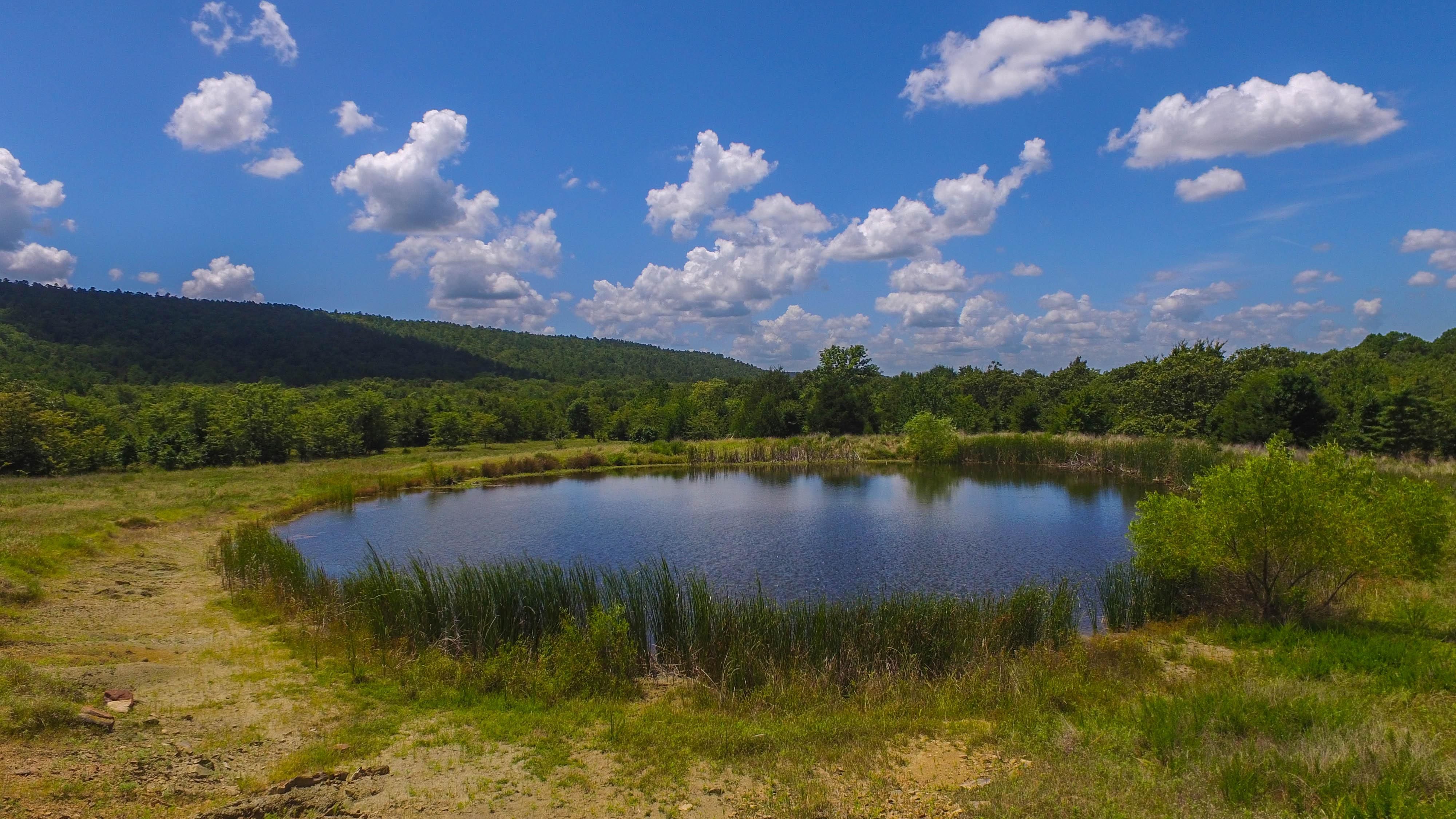 225 acres in Atoka County, Oklahoma