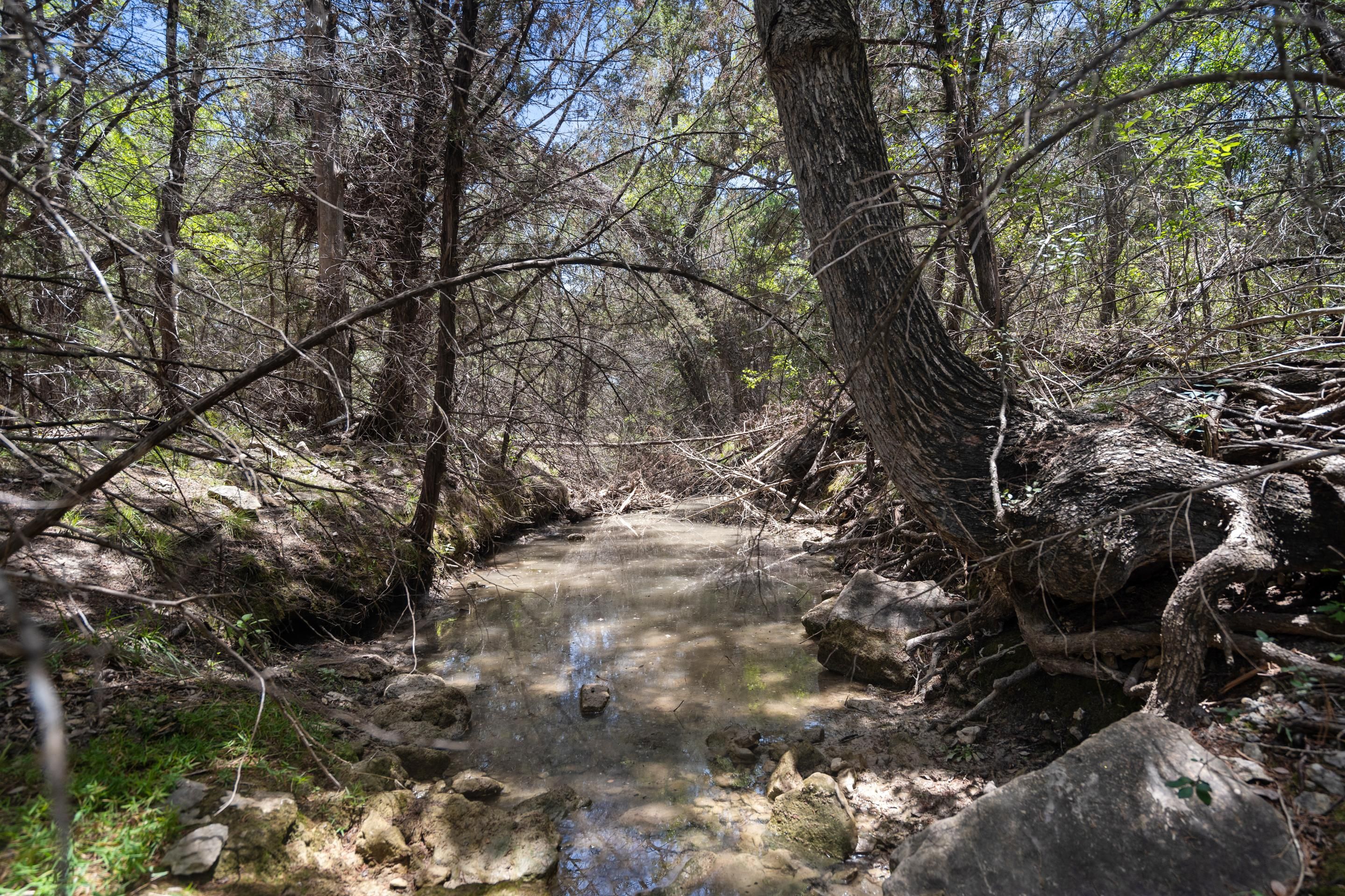 132.52 acres in Bell County, Texas