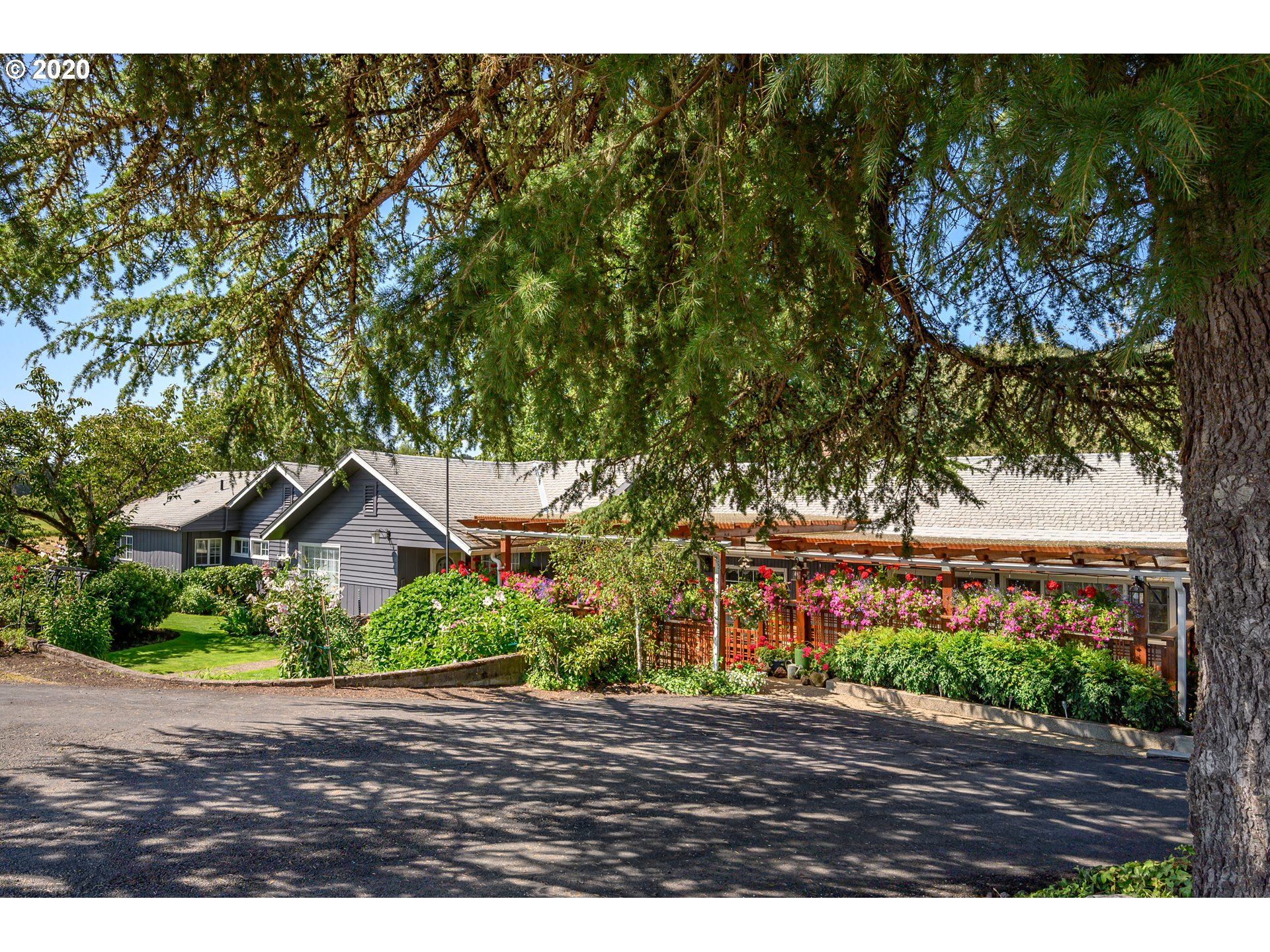 60 acres in Yamhill County, Oregon