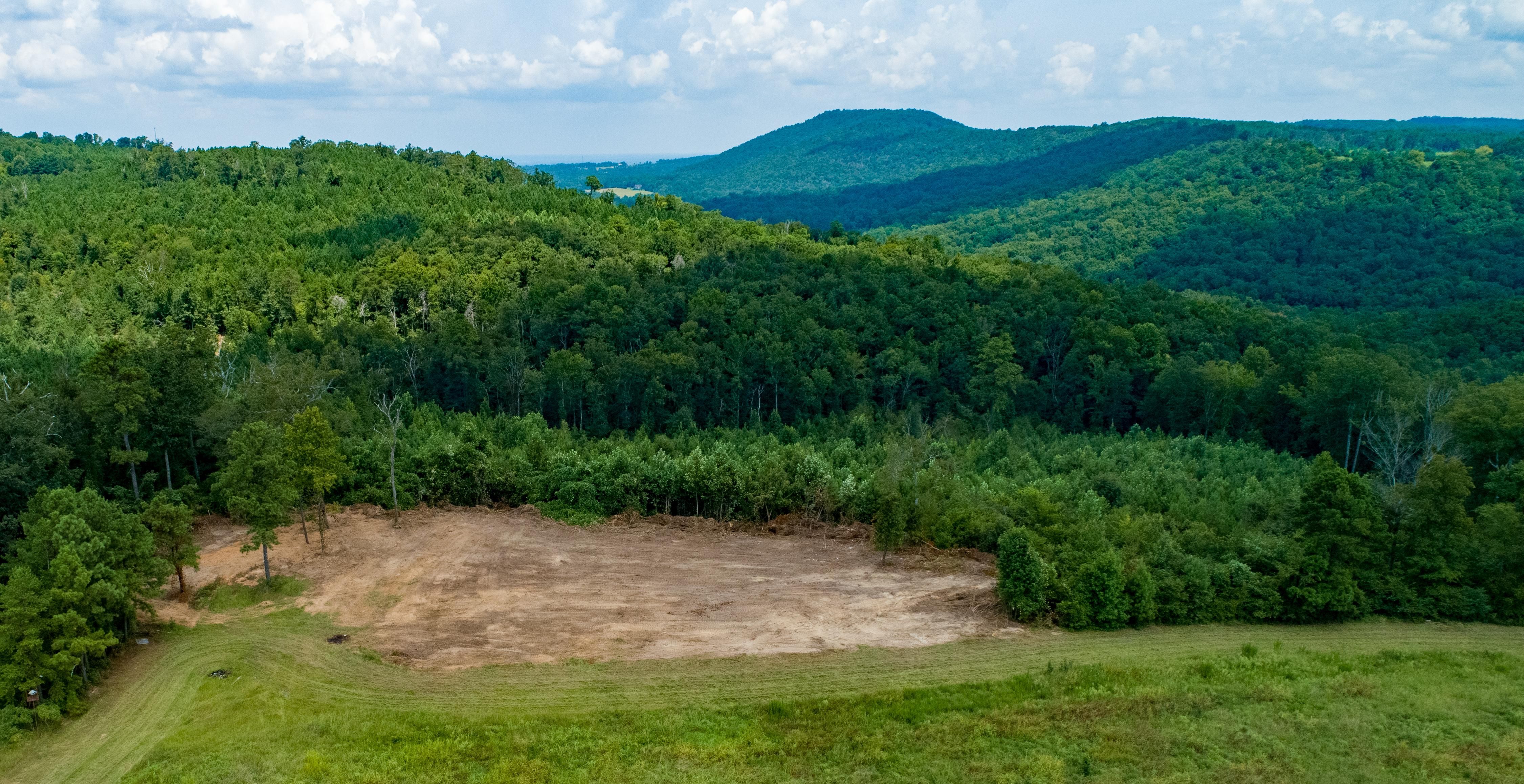 41 Acres In Blount County, Alabama