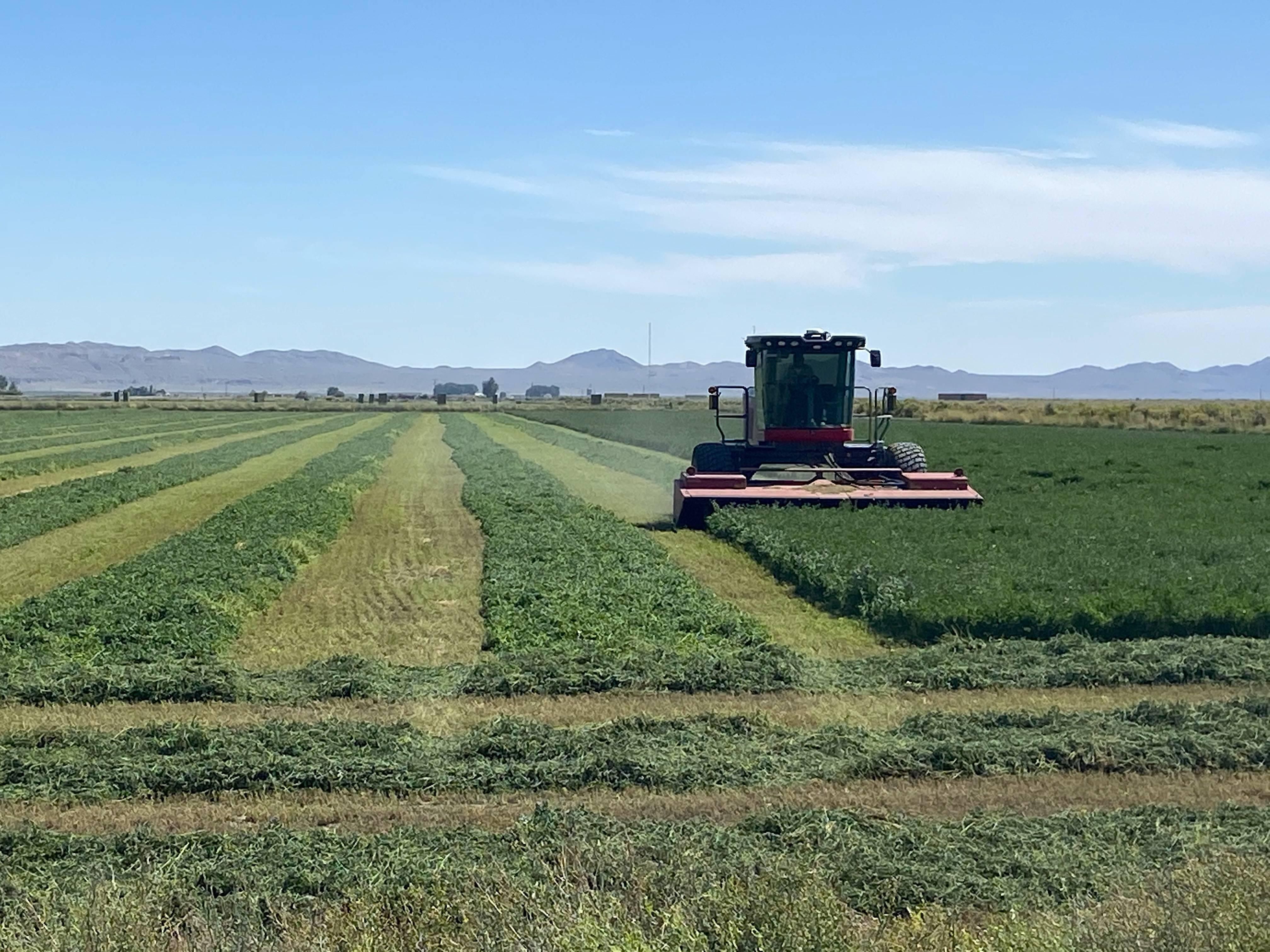 2300.00 acres in Pershing County, Nevada