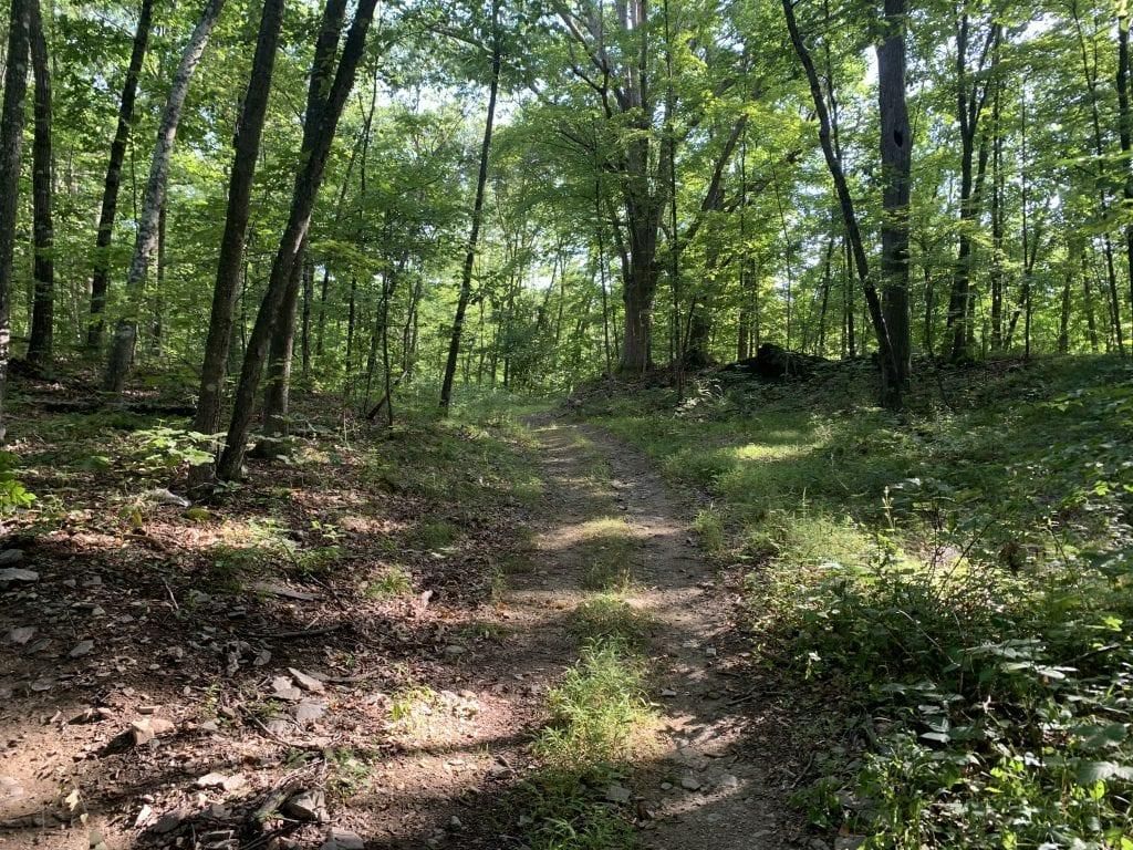 41.42 acres in Dutchess County, New York