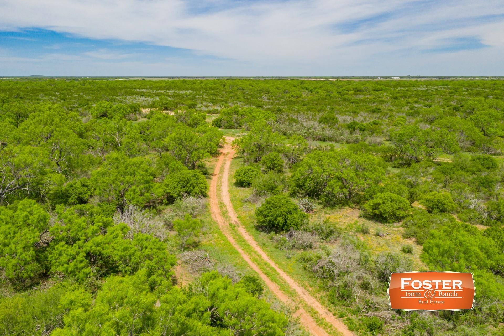 300 acres in Zavala County, Texas