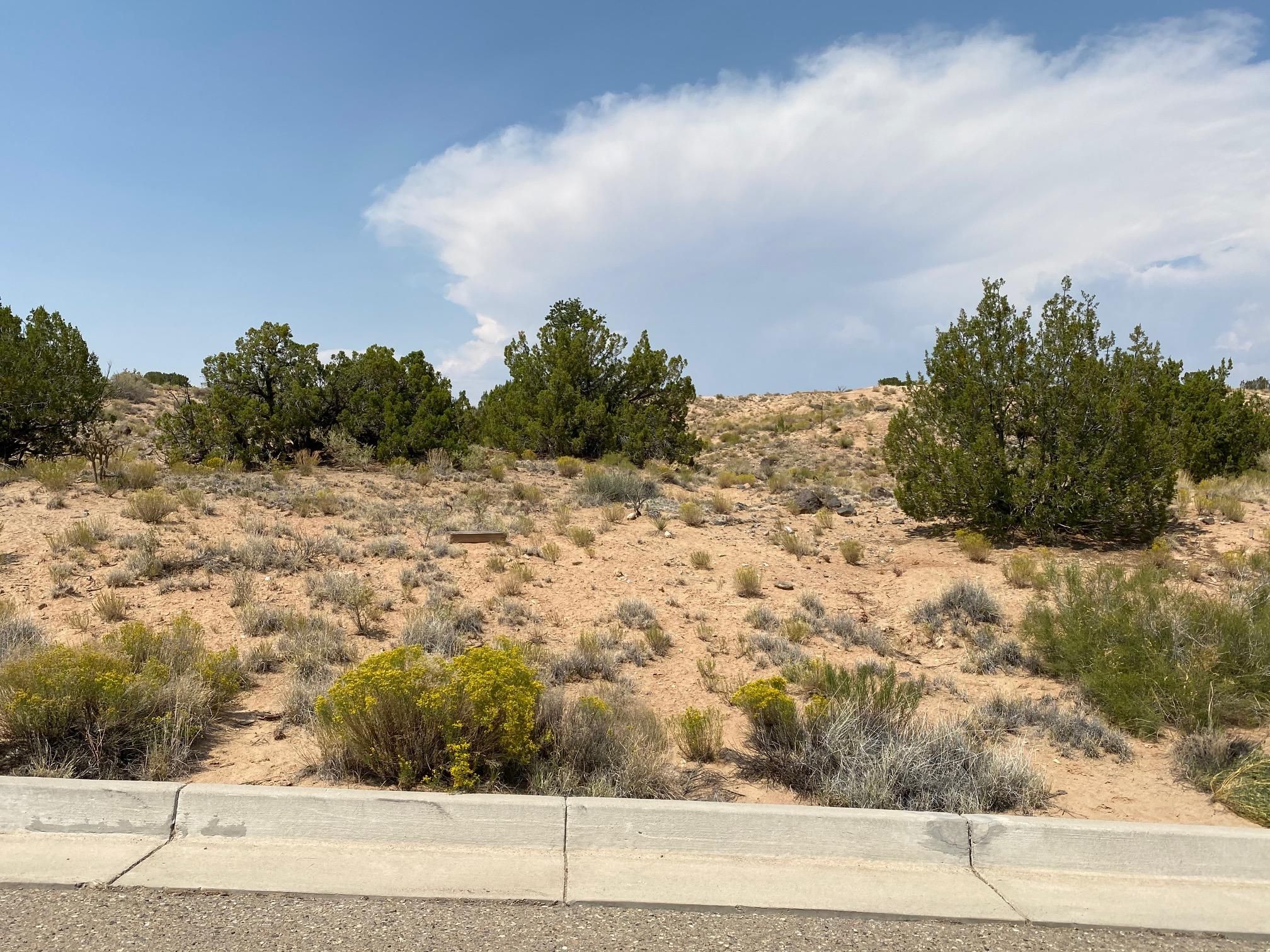 1.4 acres in Sandoval County, New Mexico
