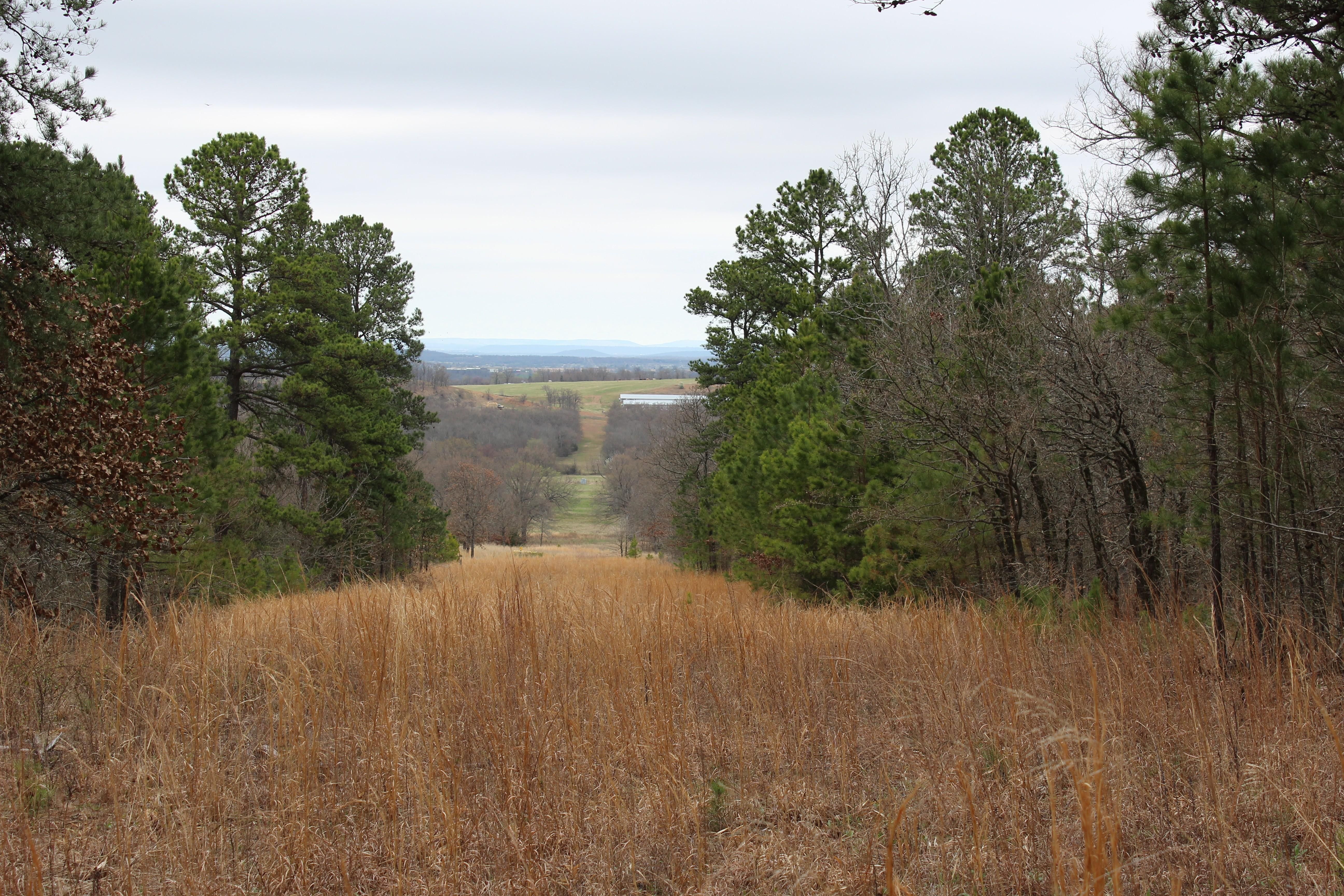 227.34 acres in Le Flore County, Oklahoma