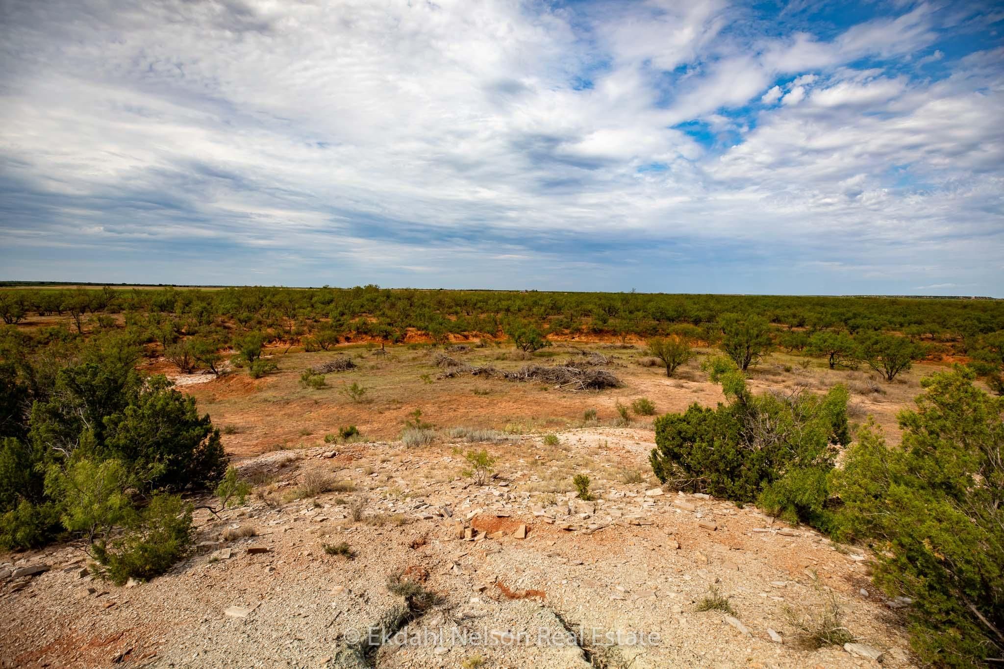 330 acres in Stonewall County, Texas
