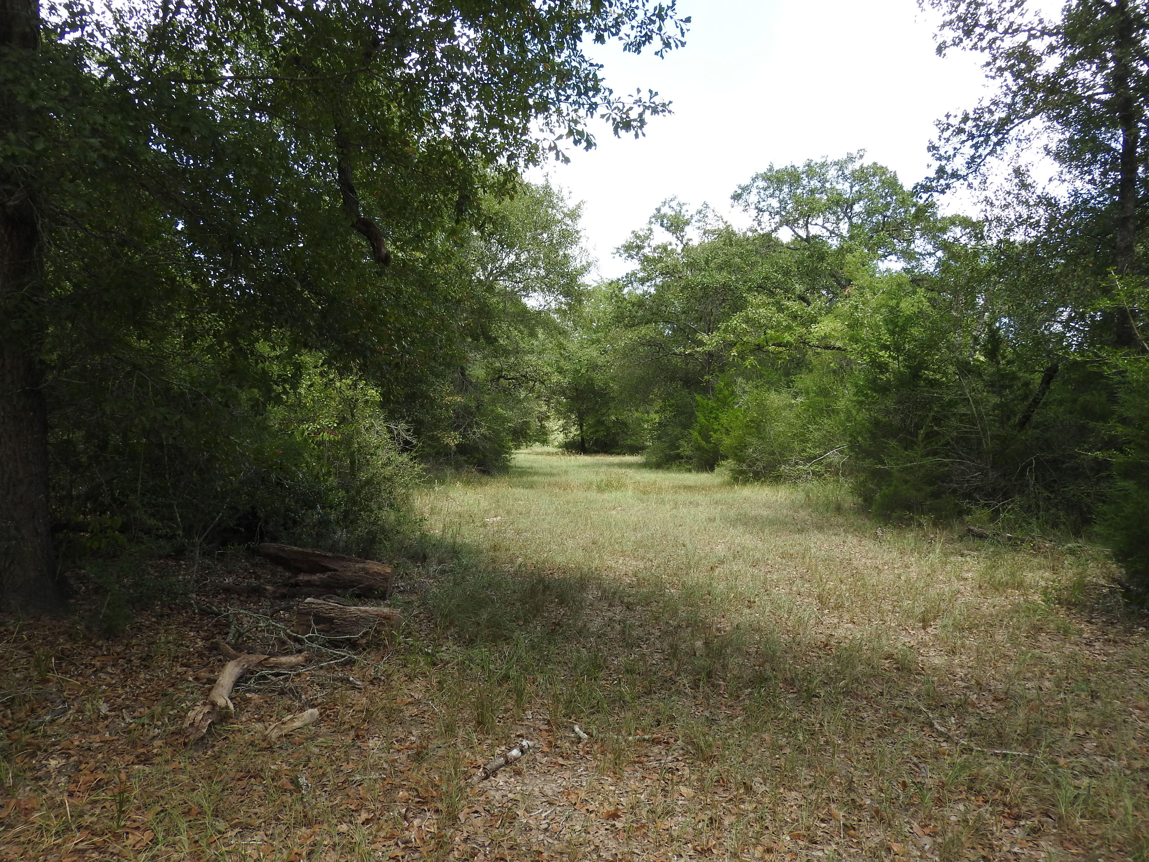 60.94 acres in Lavaca County, Texas