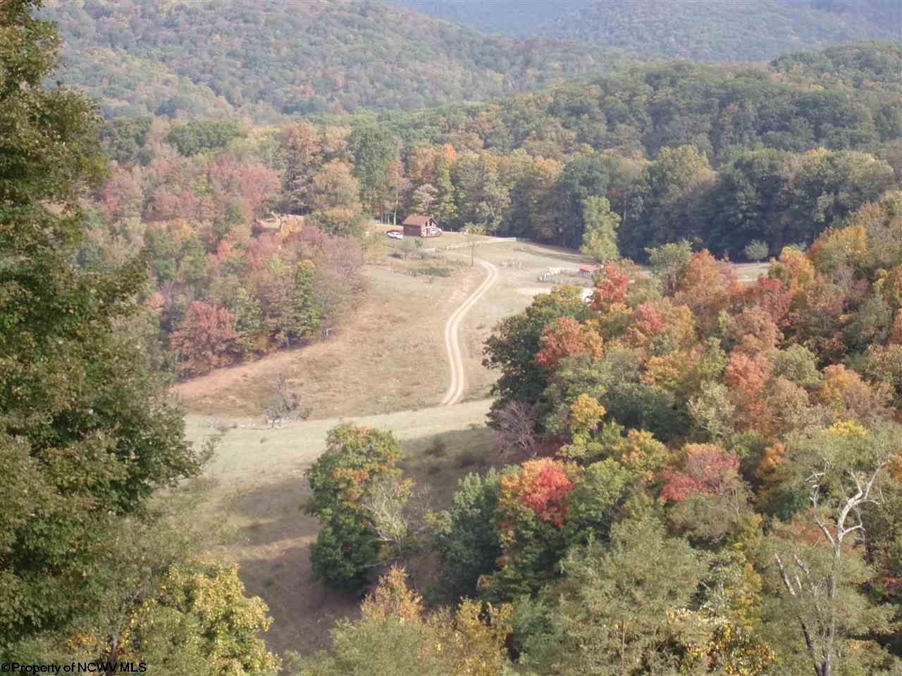 274 6 Acres In Randolph County West Virginia