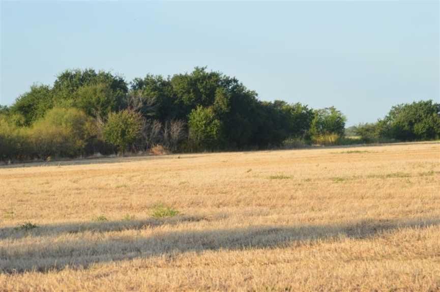 20 acres in Archer County, Texas
