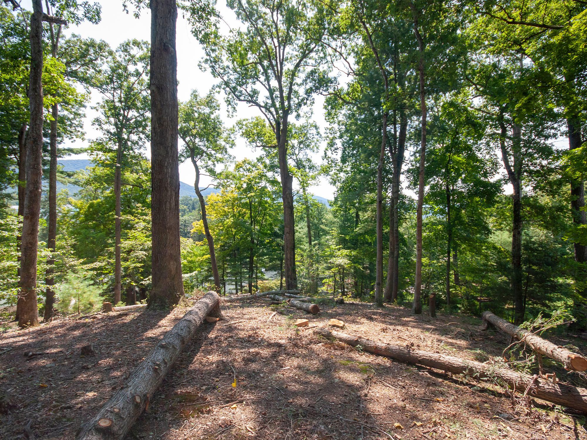 0.75 acres in Greenbrier County, West Virginia