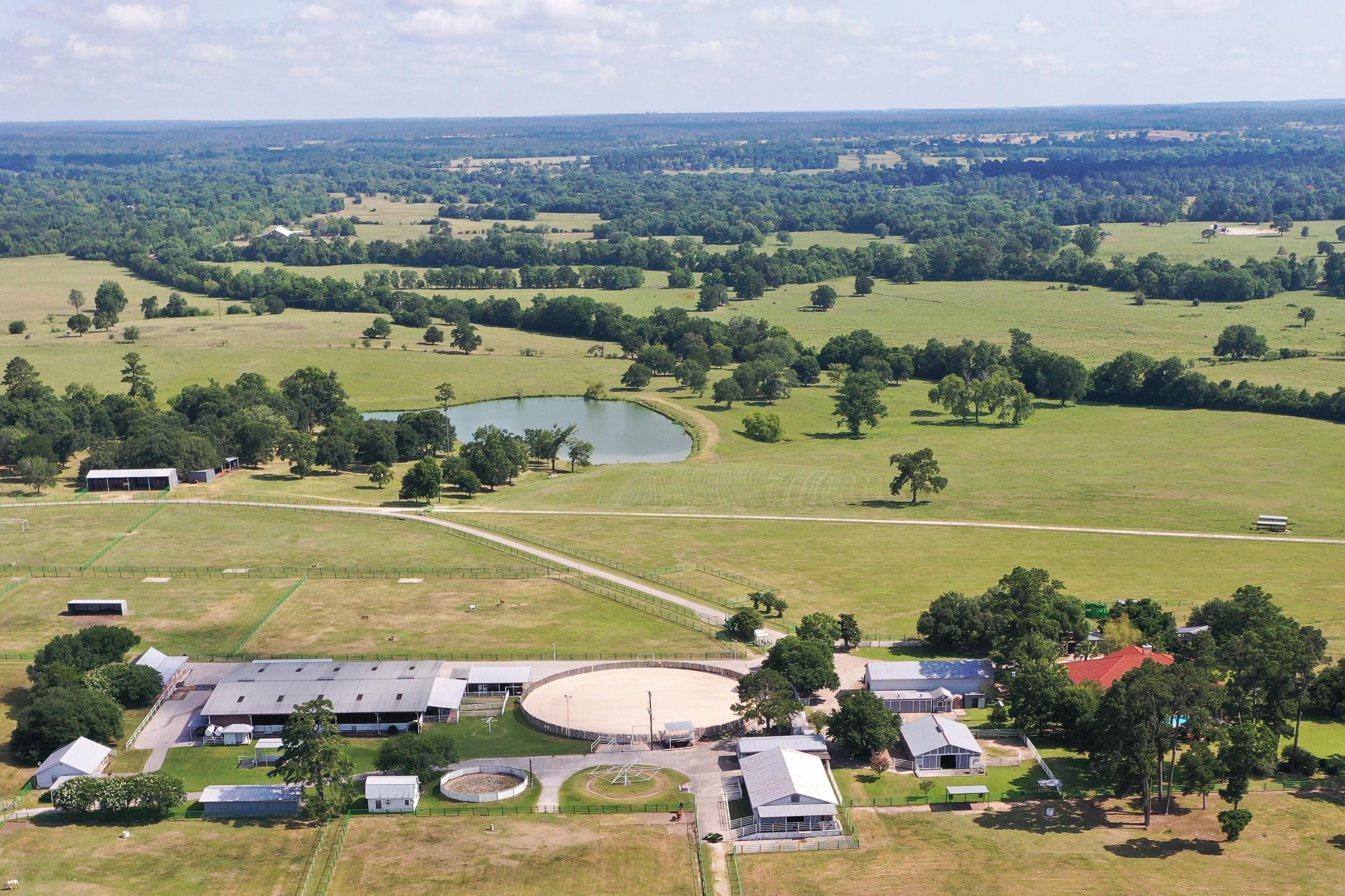 216 acres in Grimes County, Texas