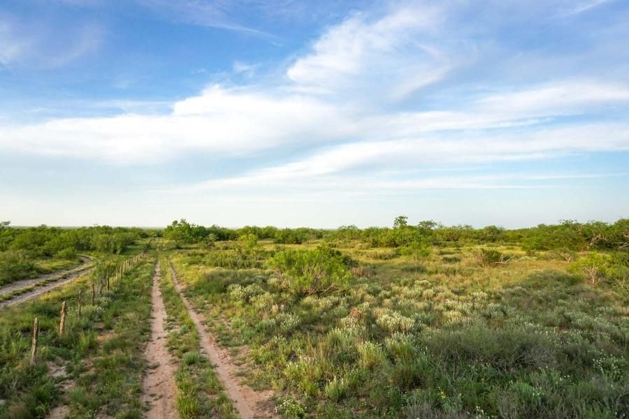 815 acres in Zapata County, Texas