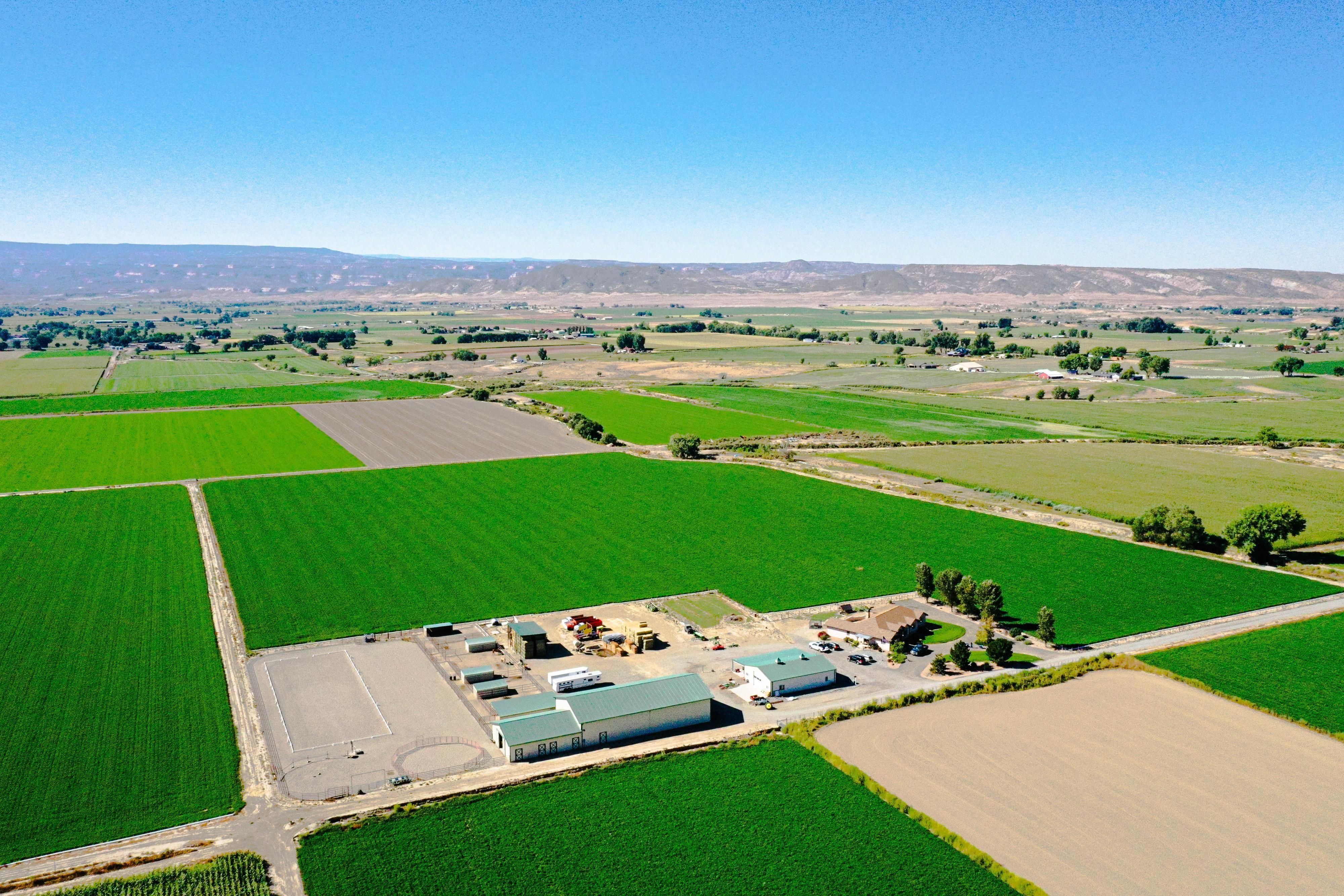 42 acres in Mesa County, Colorado