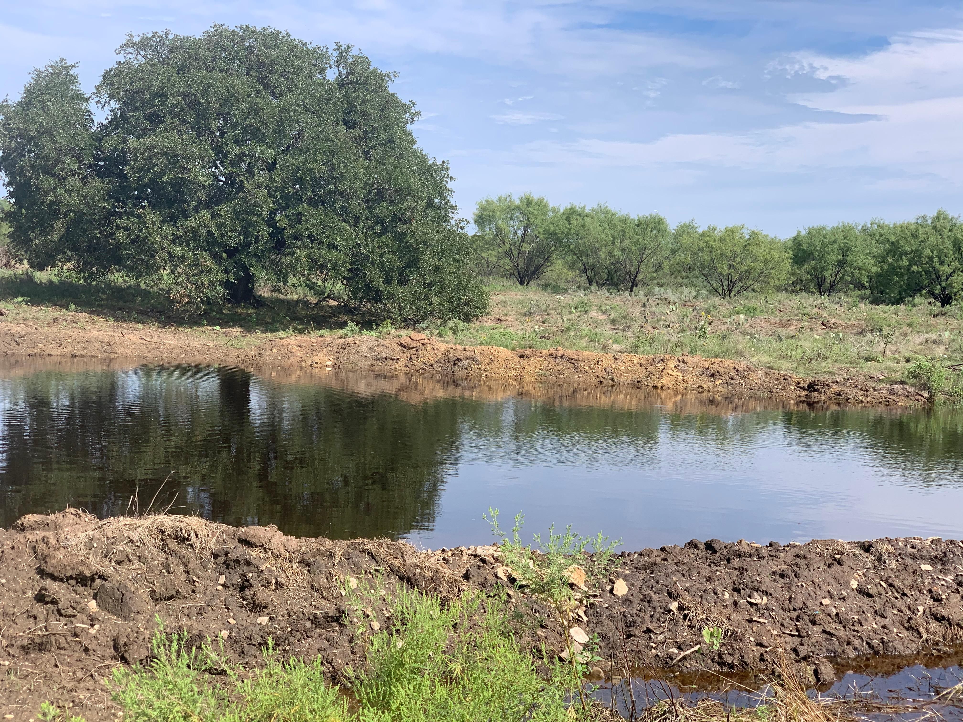 40 acres in Young County, Texas