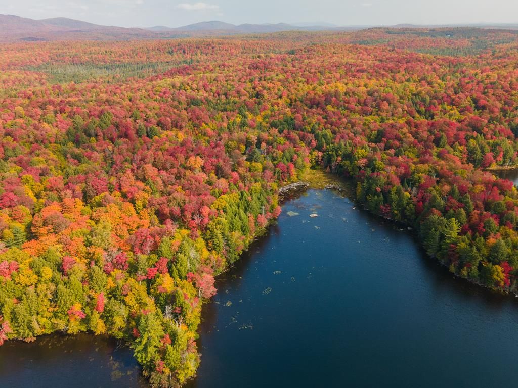 14 acres in Saint Lawrence County, New York