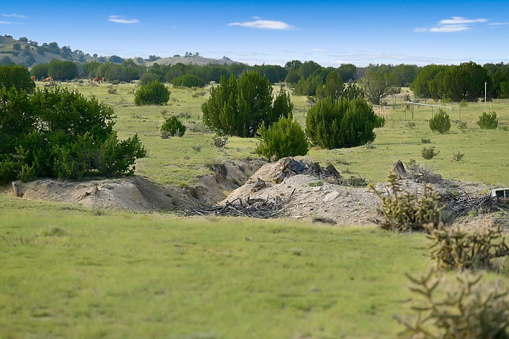 36 acres in Las Animas County, Colorado