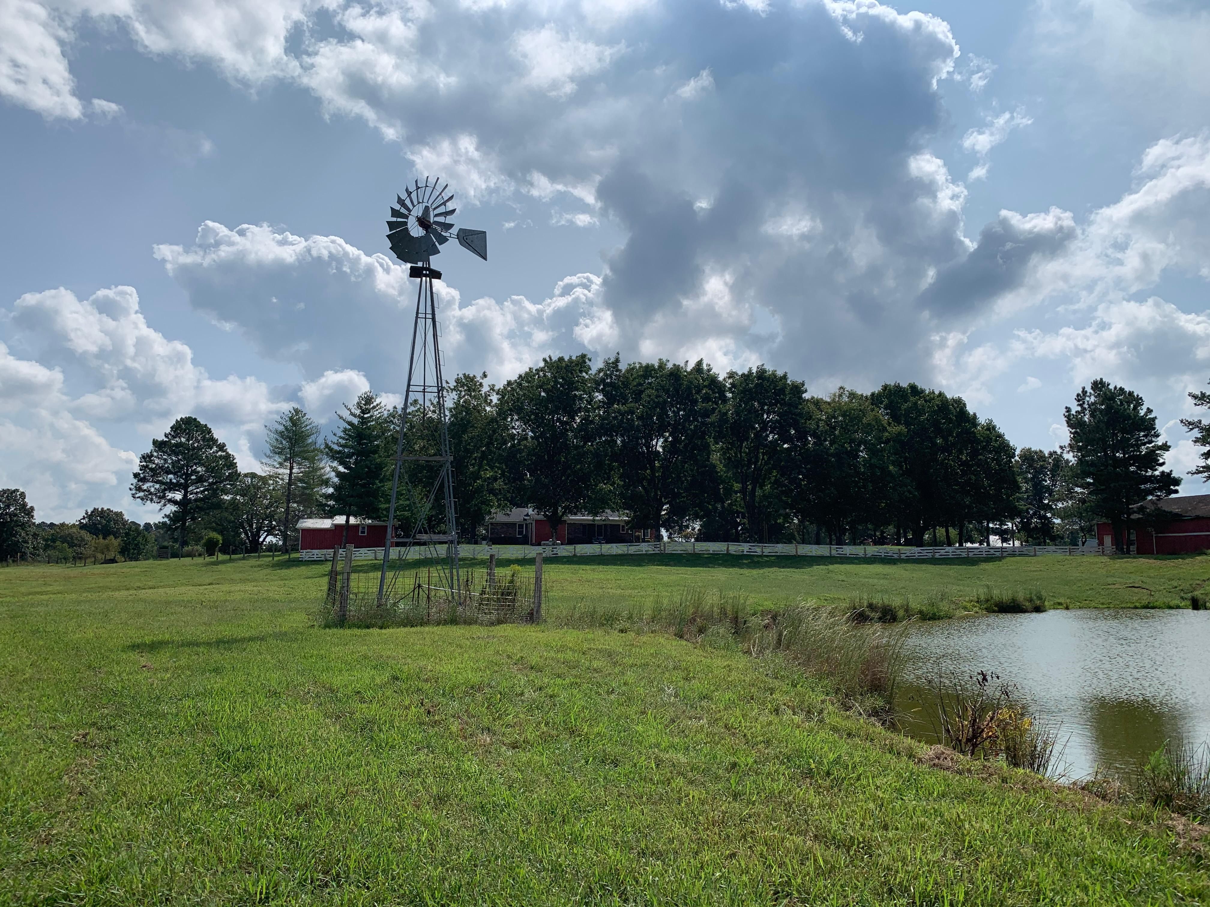 295 acres in McNairy County, Tennessee