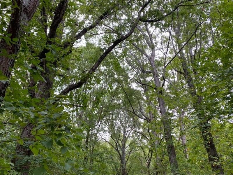 17 1 Acres In Gordon County Georgia