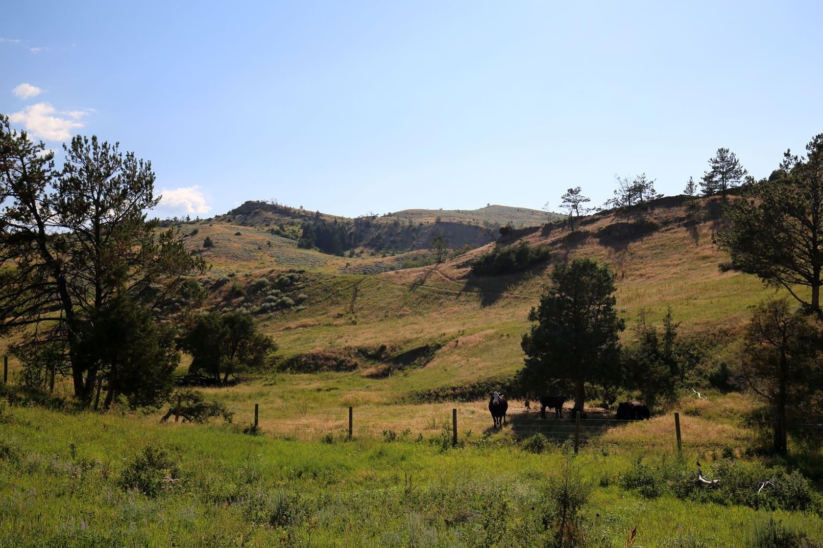 240 acres in Park County, Montana
