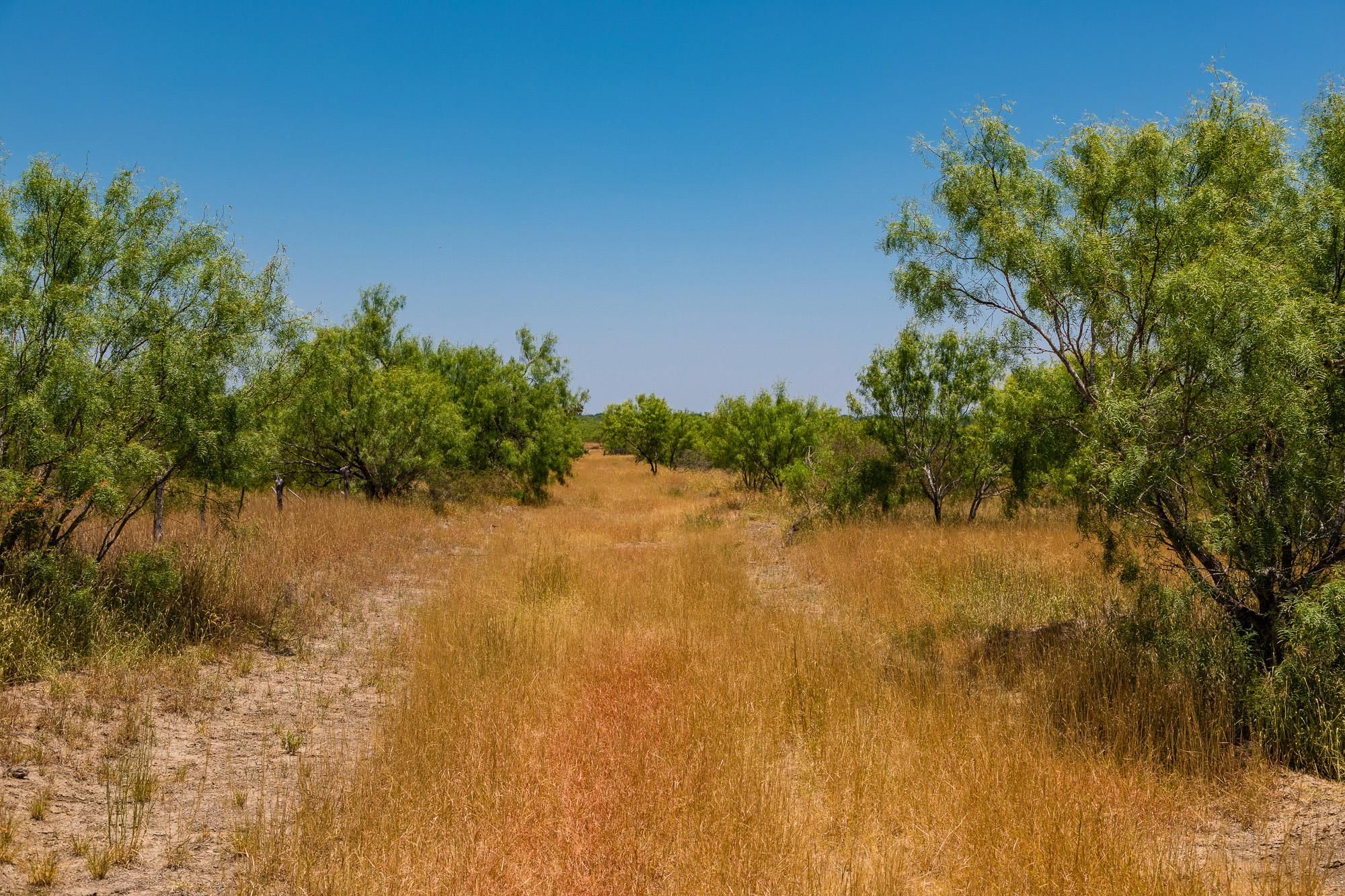 91 acres in Zavala County, Texas
