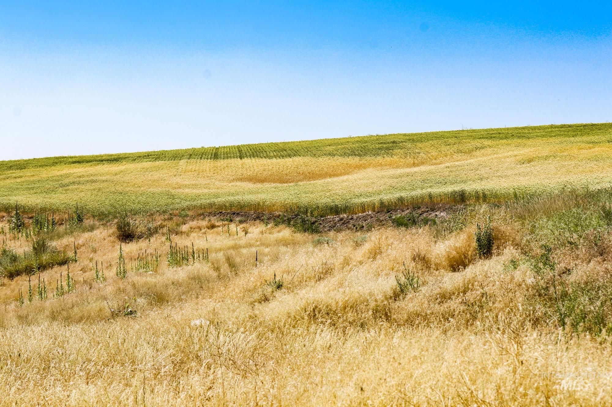 1,200 acres in Lincoln County, Washington