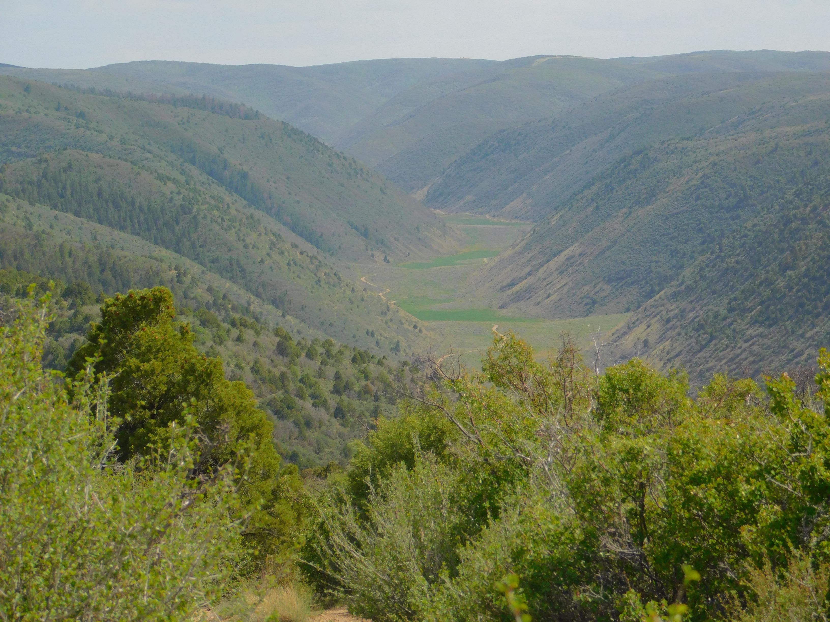 5,727 acres in Rio Blanco County, Colorado