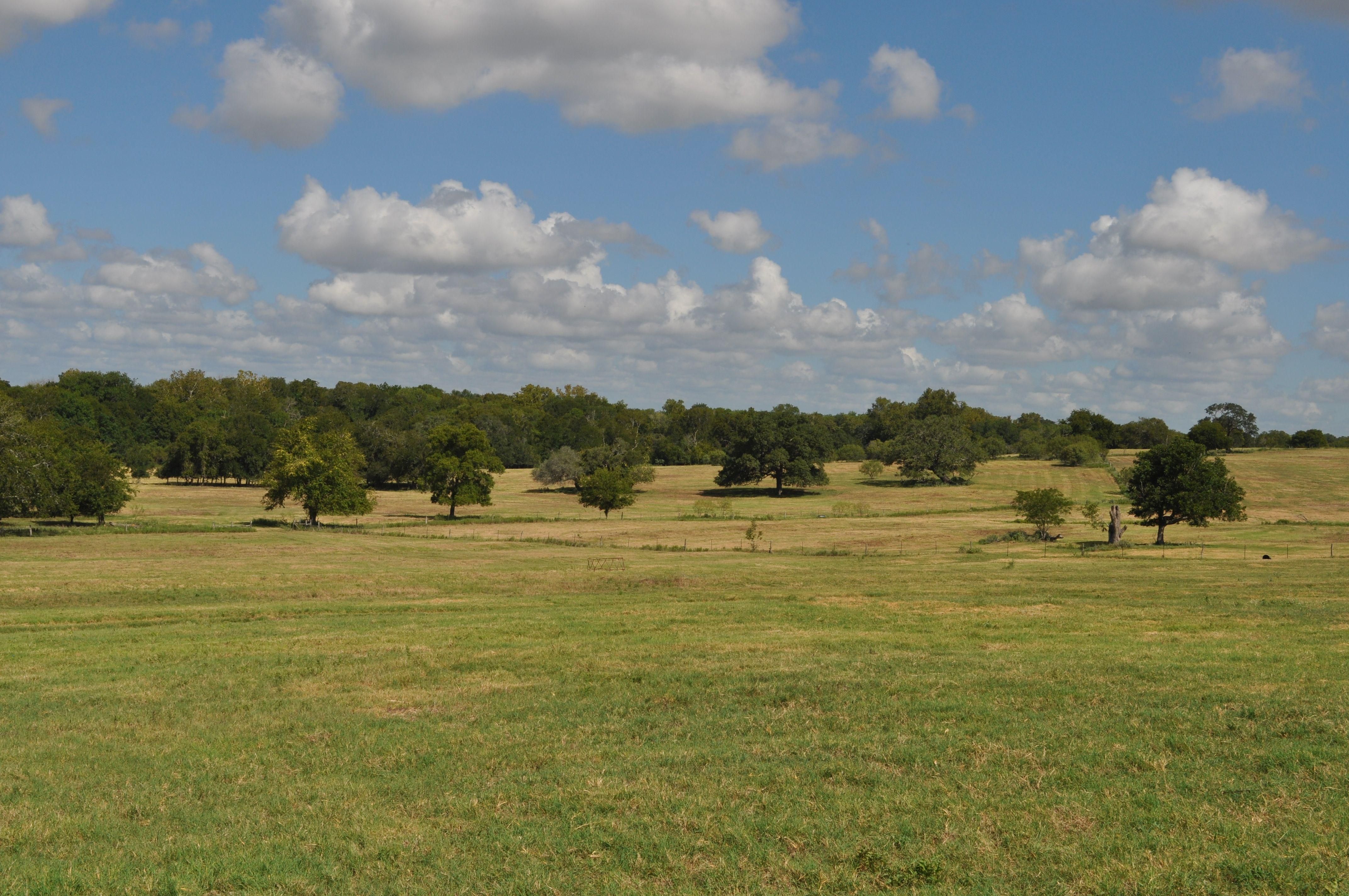 150 acres in Fayette County, Texas