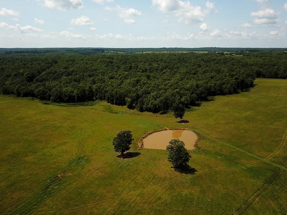 350 acres in Sharp County, Arkansas