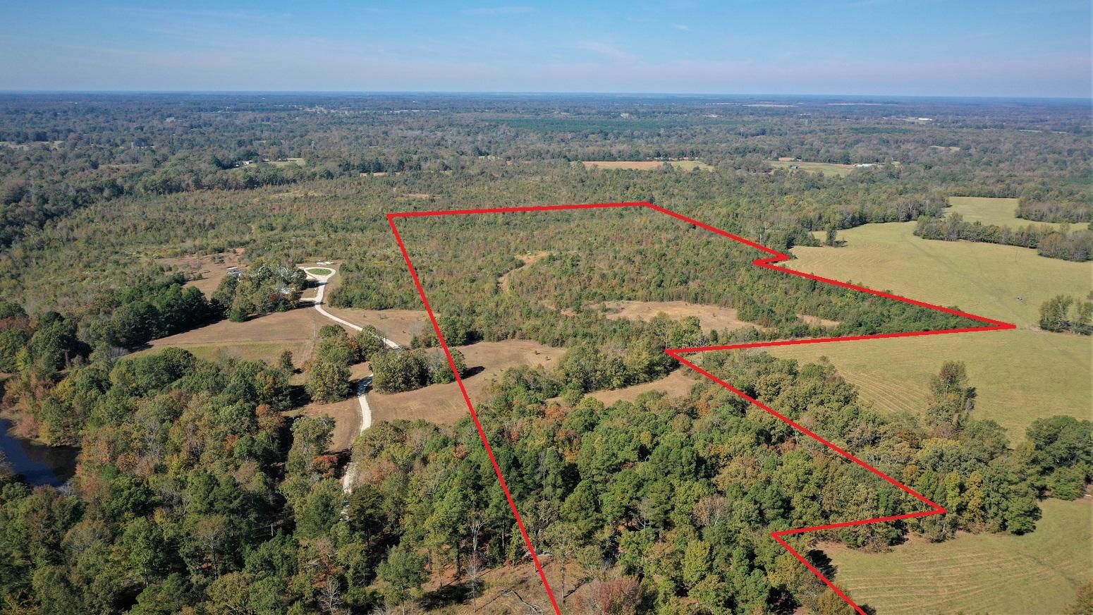 41.17 acres in Red River County, Texas