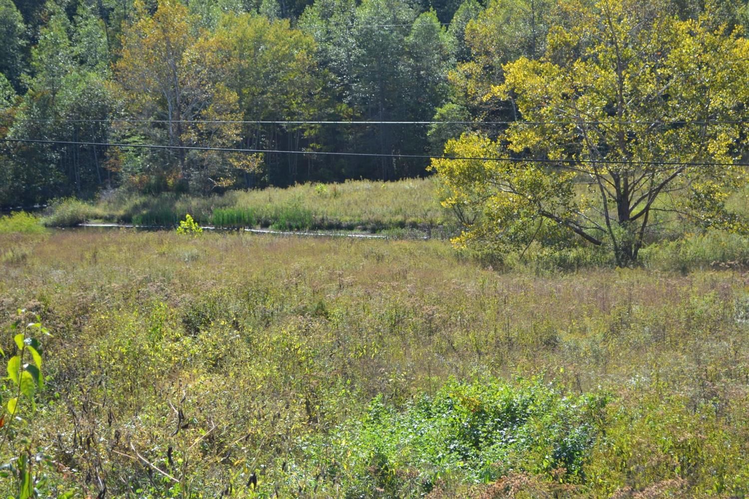 115 acres in Clay County, Kentucky