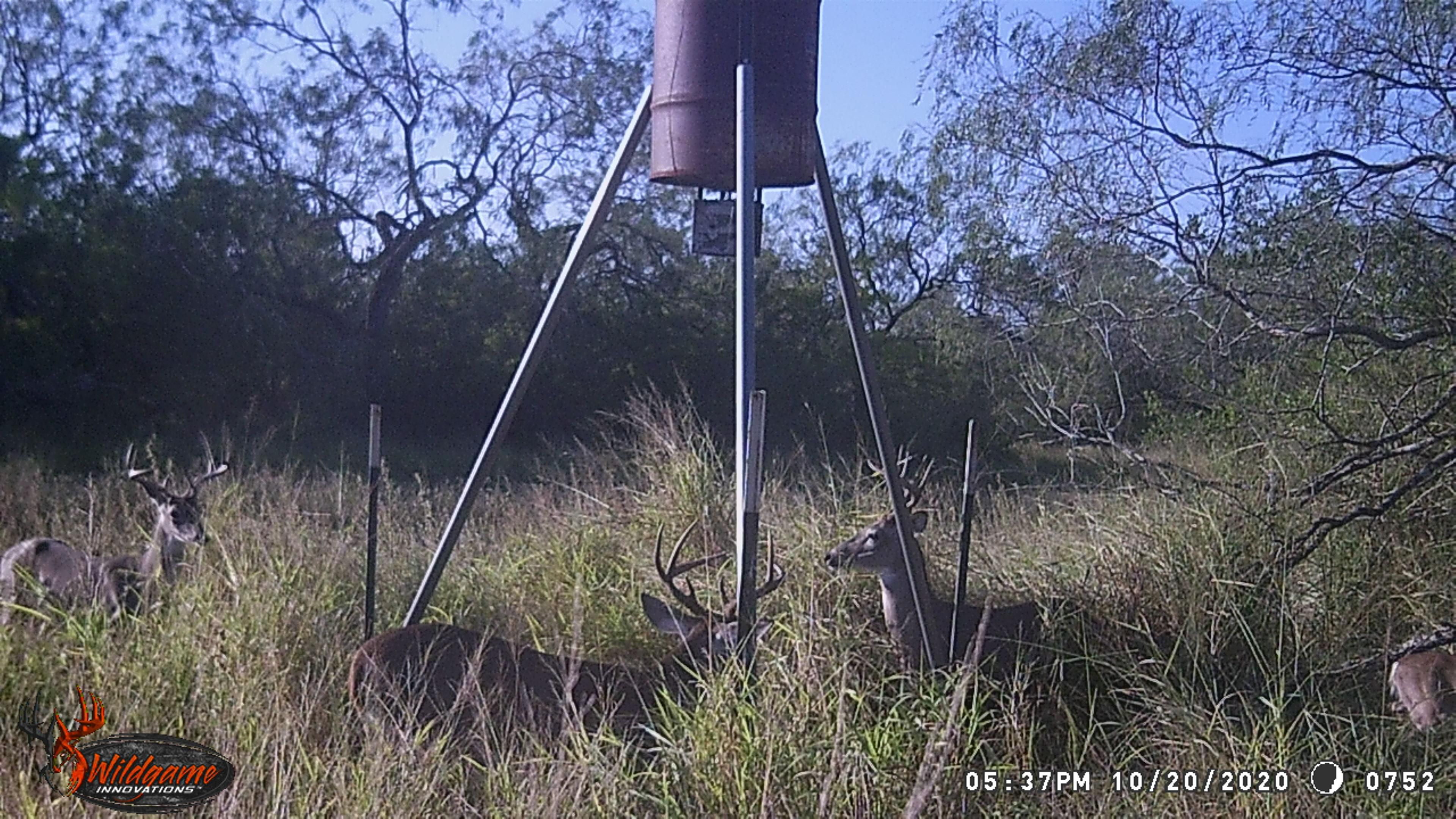 50 acres in Hidalgo County, Texas