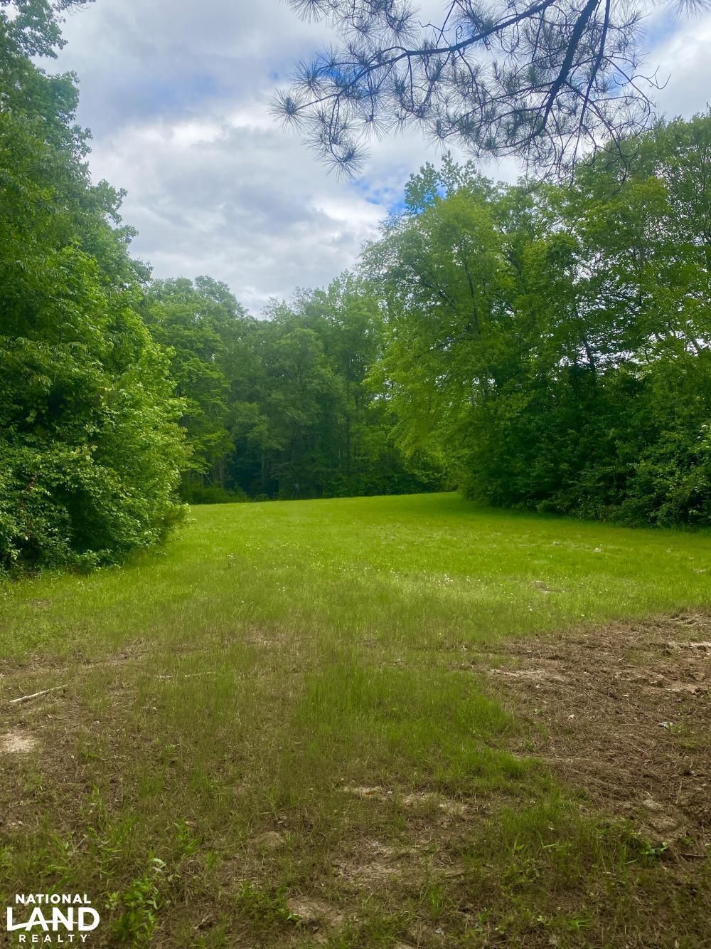 73 acres in Chilton County, Alabama