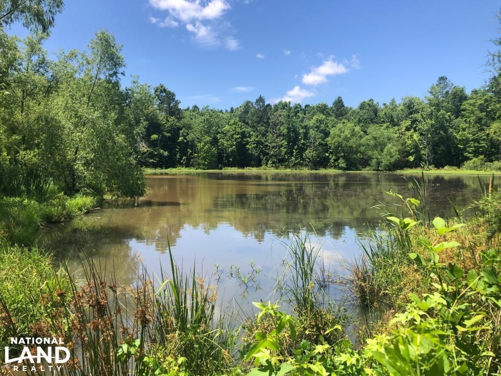 145 acres in Pontotoc County, Mississippi