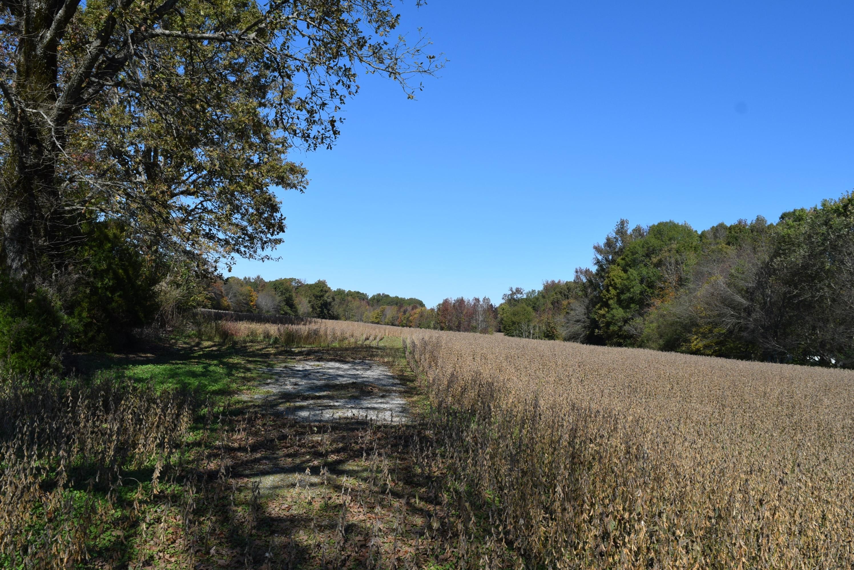 21.15 acres in Coffee County, Tennessee