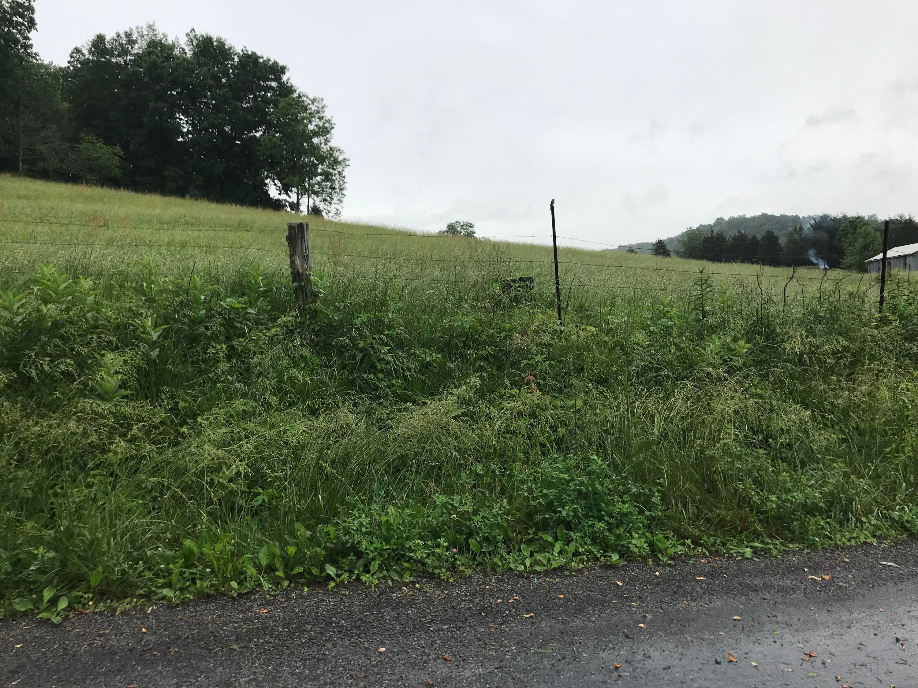 5 acres in Lee County, Virginia