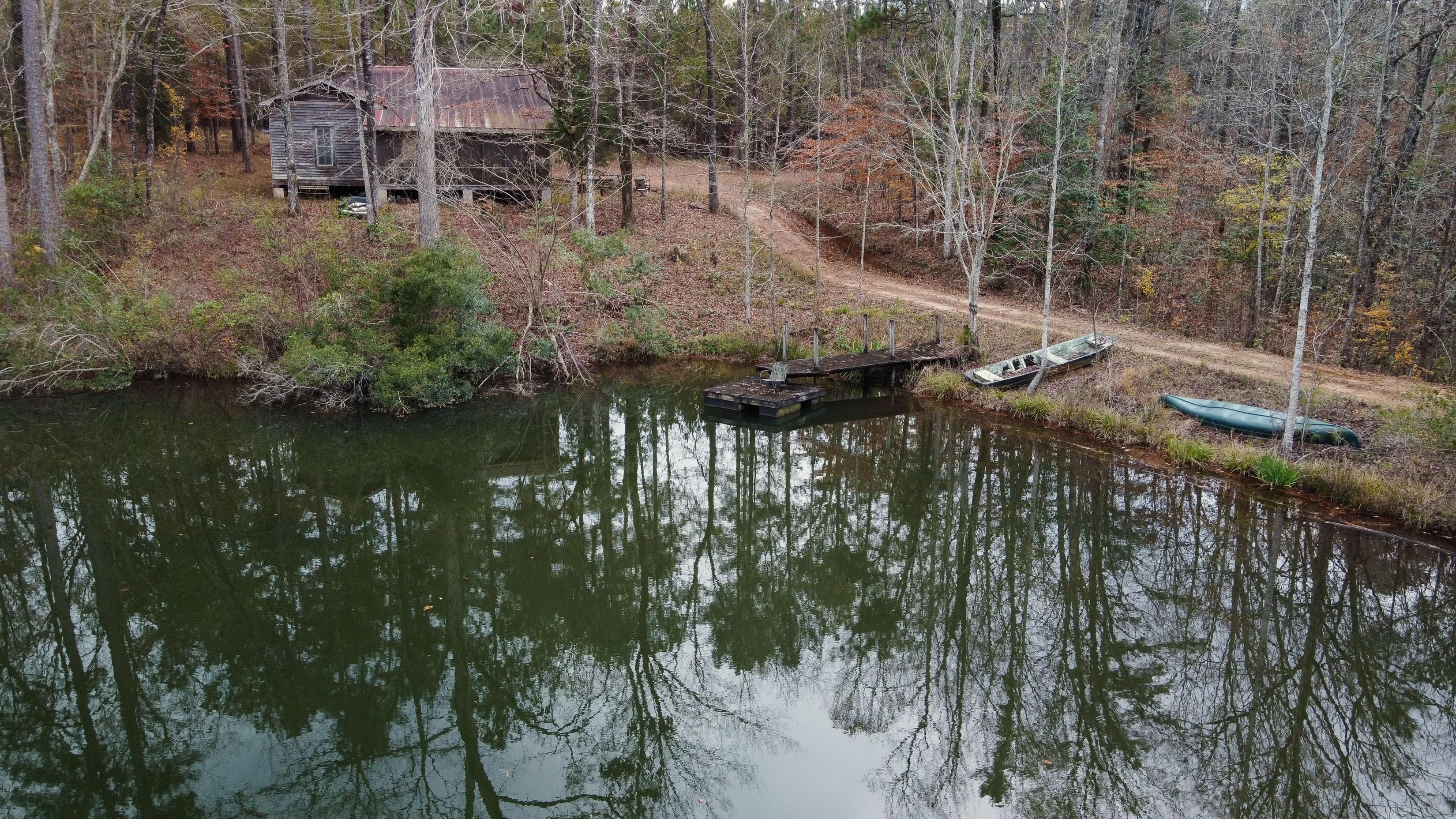255 acres in Dale County, Alabama